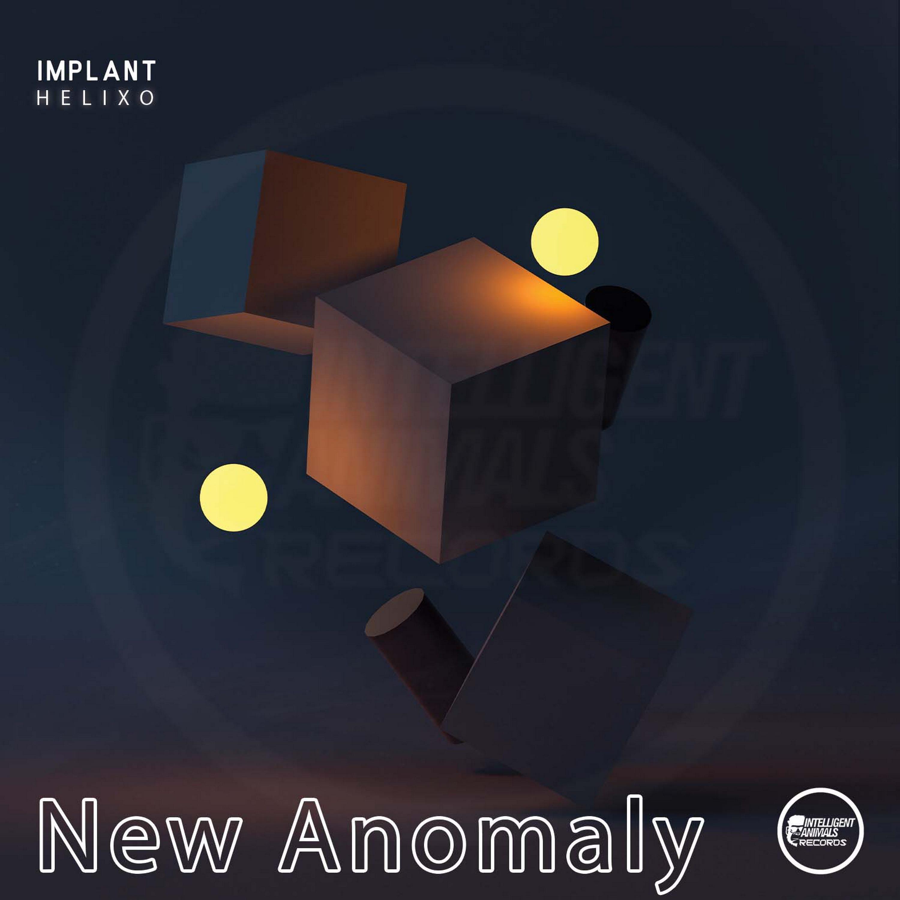 Постер альбома New Anomaly