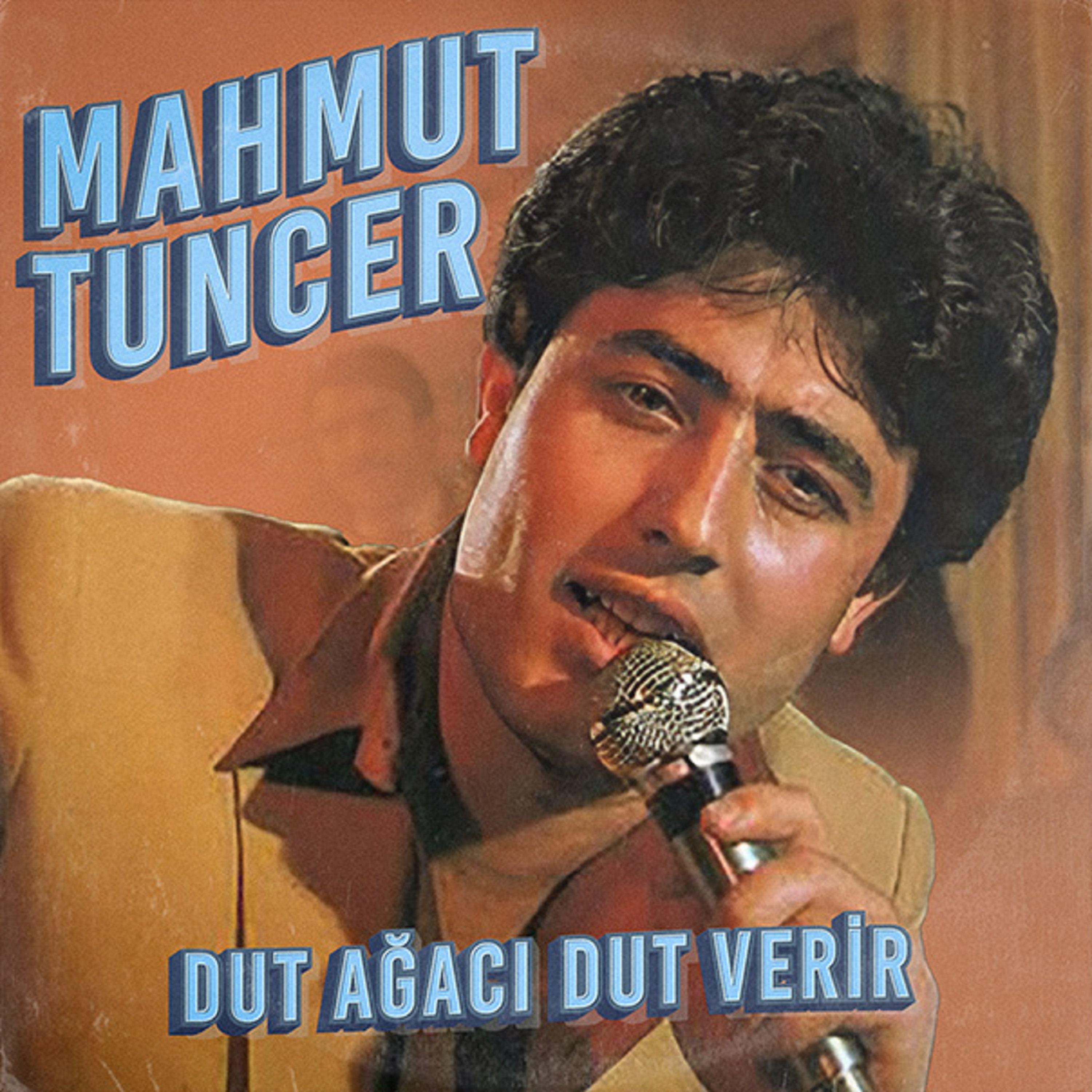 Постер альбома Dut Ağacı Dut Verir