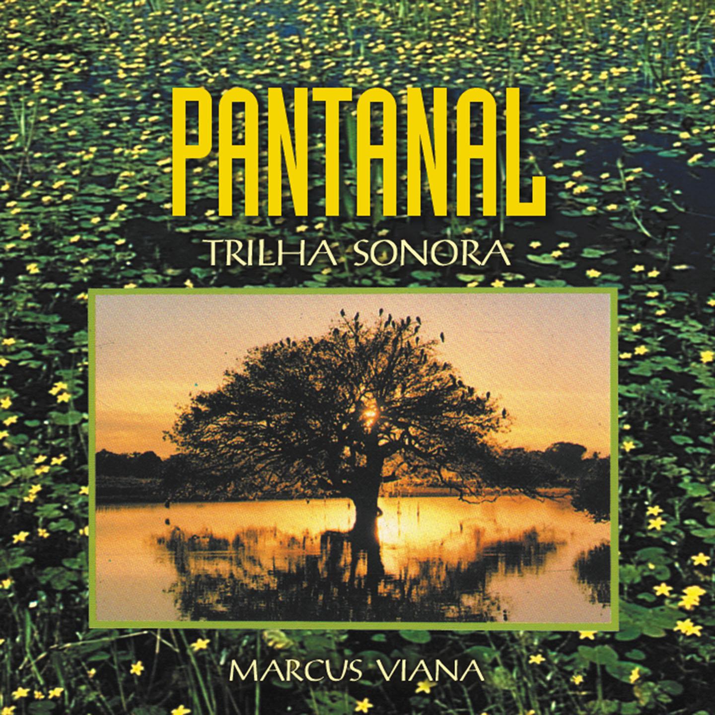 Постер альбома Pantanal