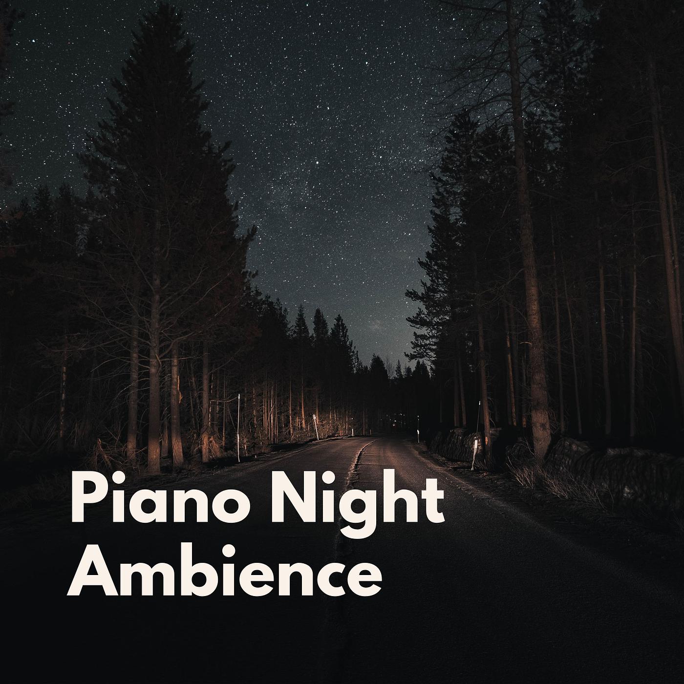 Постер альбома Piano Night Ambience