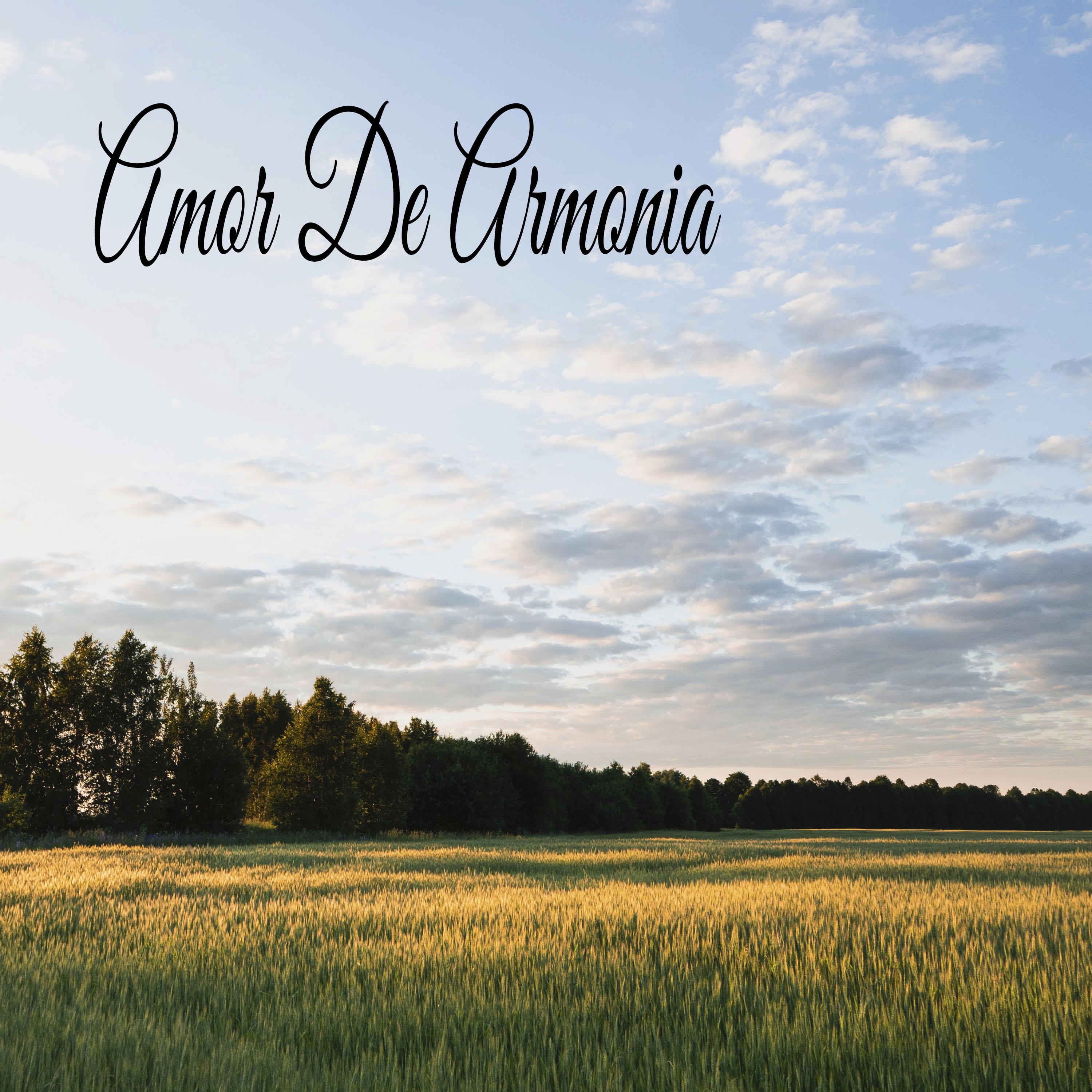 Постер альбома Amor De Armonia