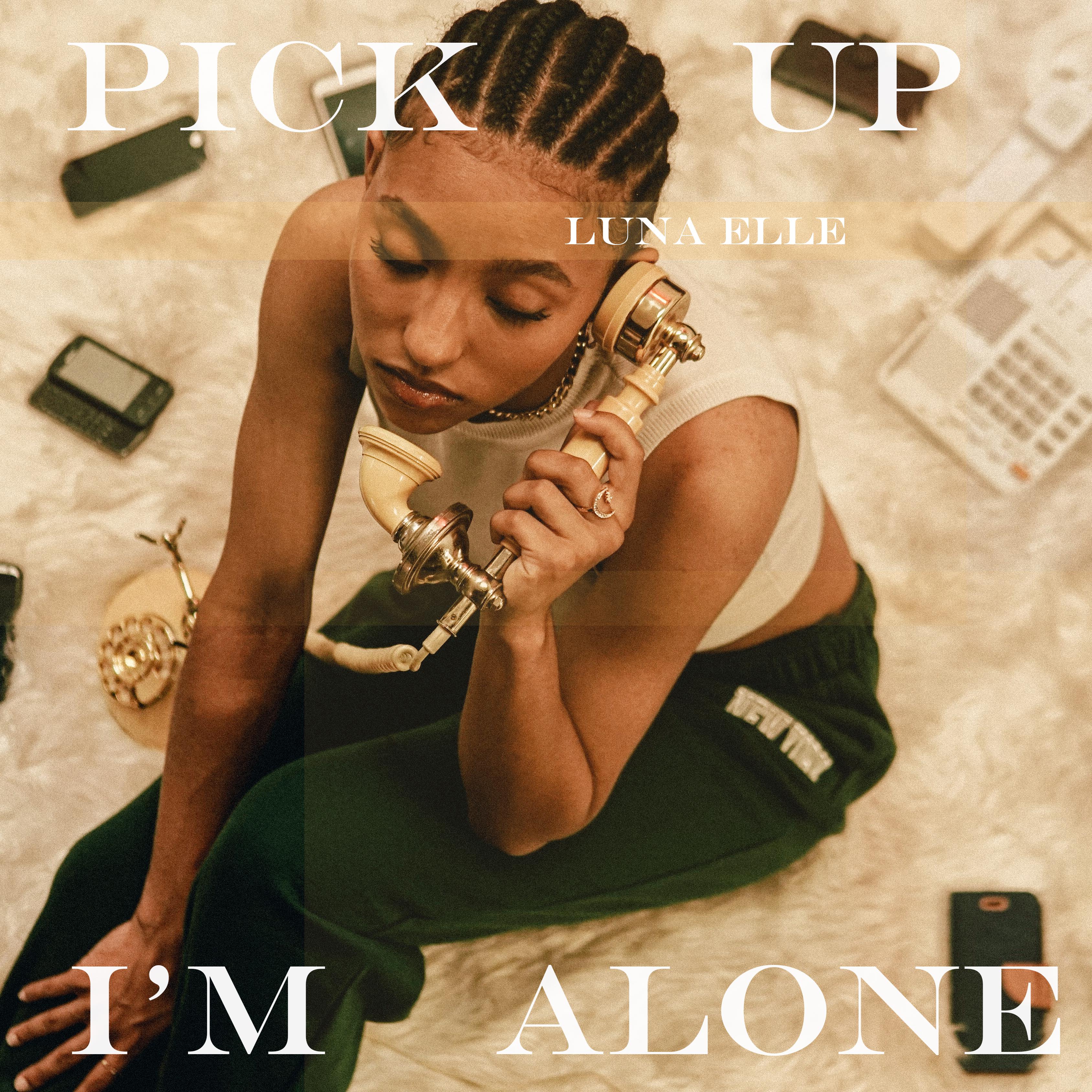 Постер альбома Pick Up I'm Alone