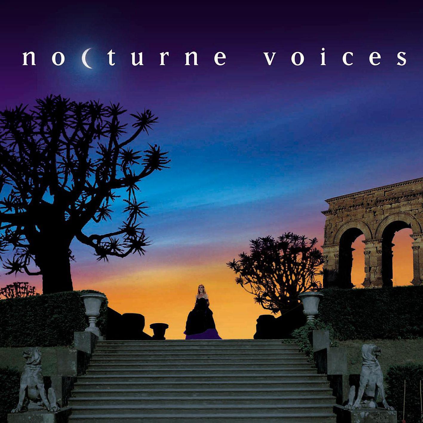 Постер альбома Vocal Nocturne