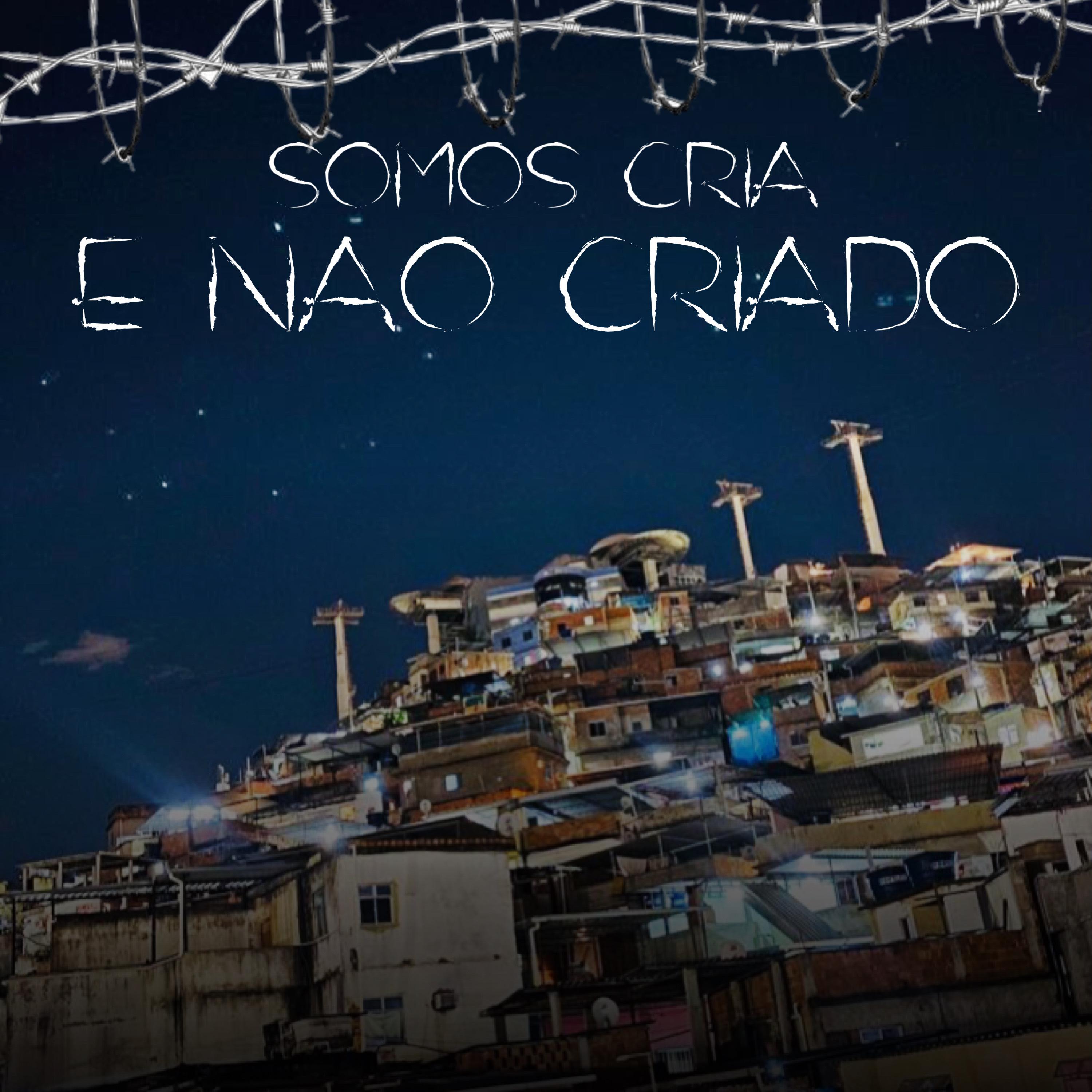 Постер альбома Somos Cria e Não Criado