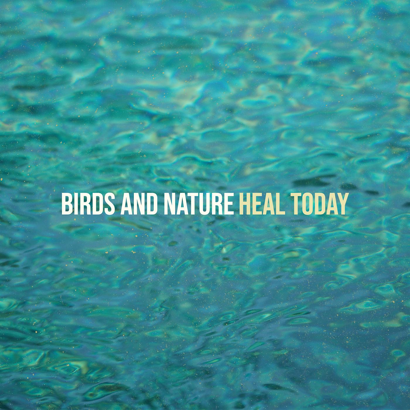 Постер альбома Birds and Nature