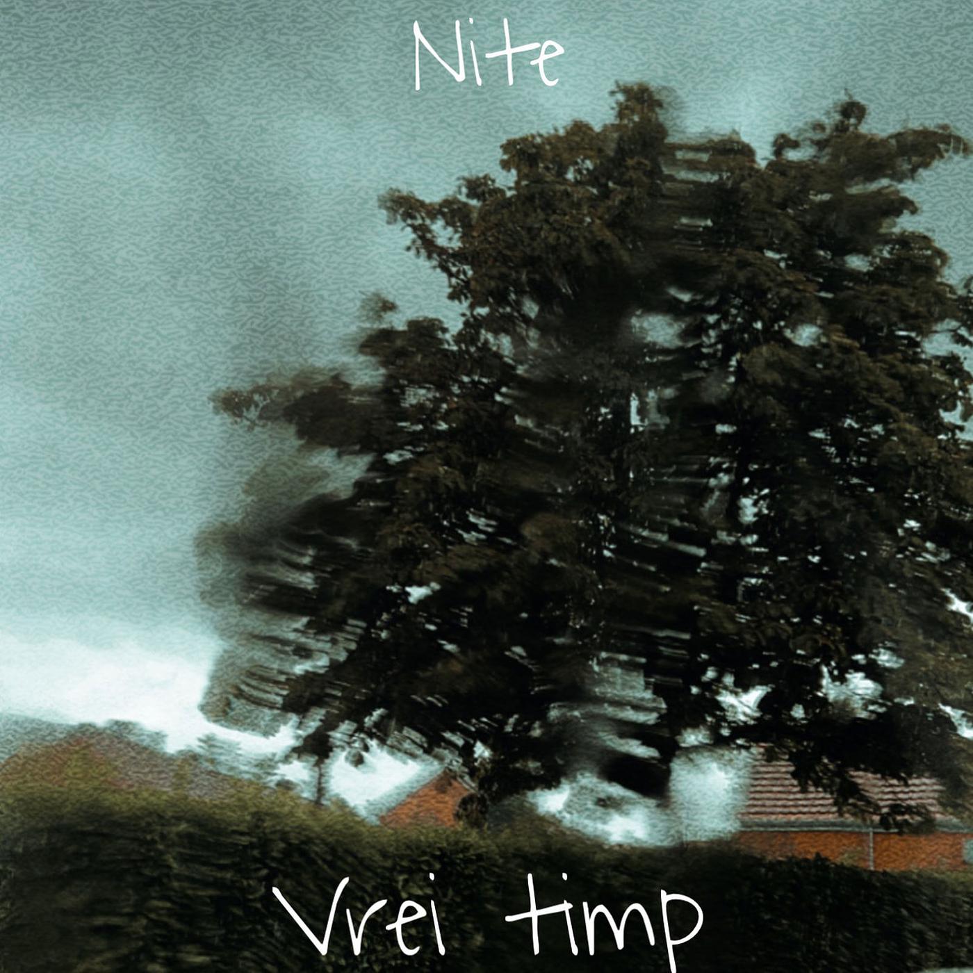 Постер альбома Vrei Timp