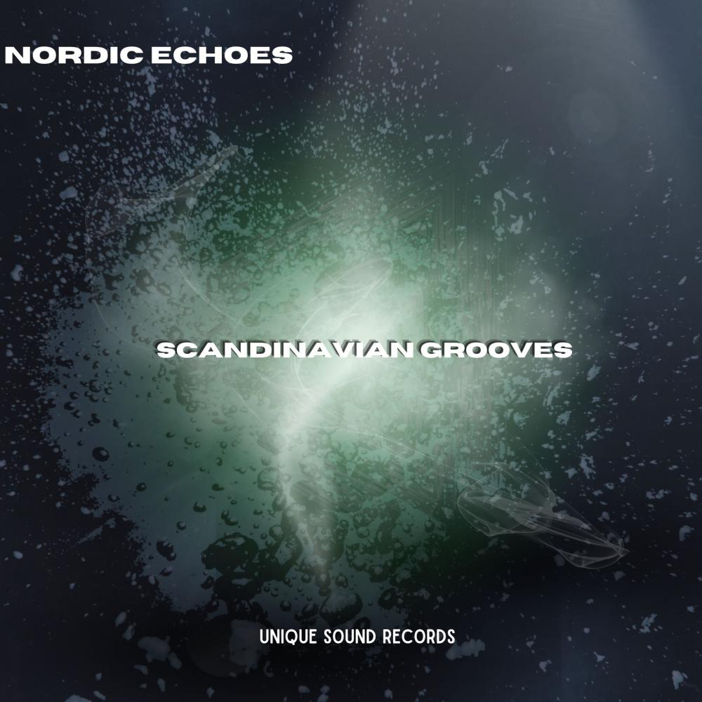 Постер альбома Scandinavian Grooves