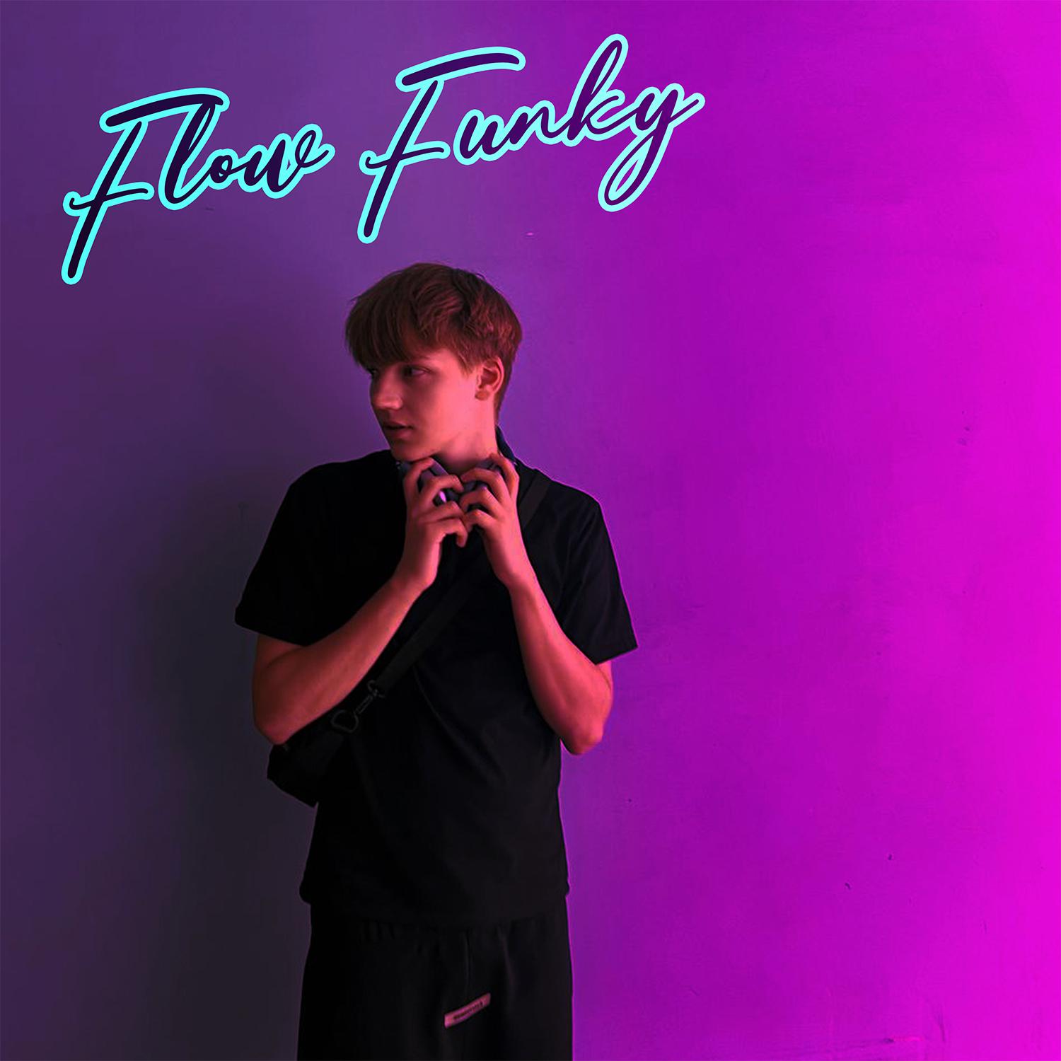 Постер альбома Flow Funky