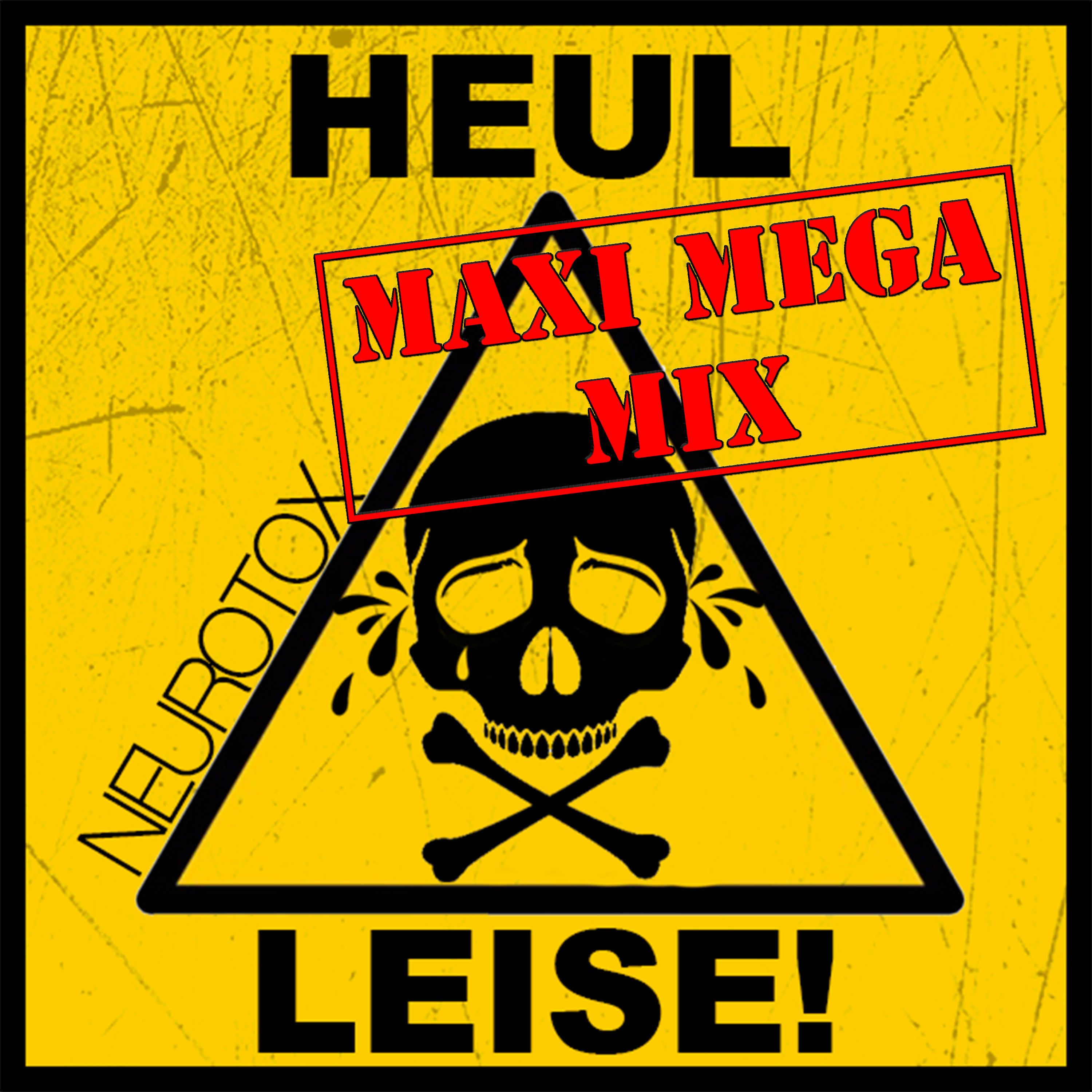 Постер альбома Heul Leise