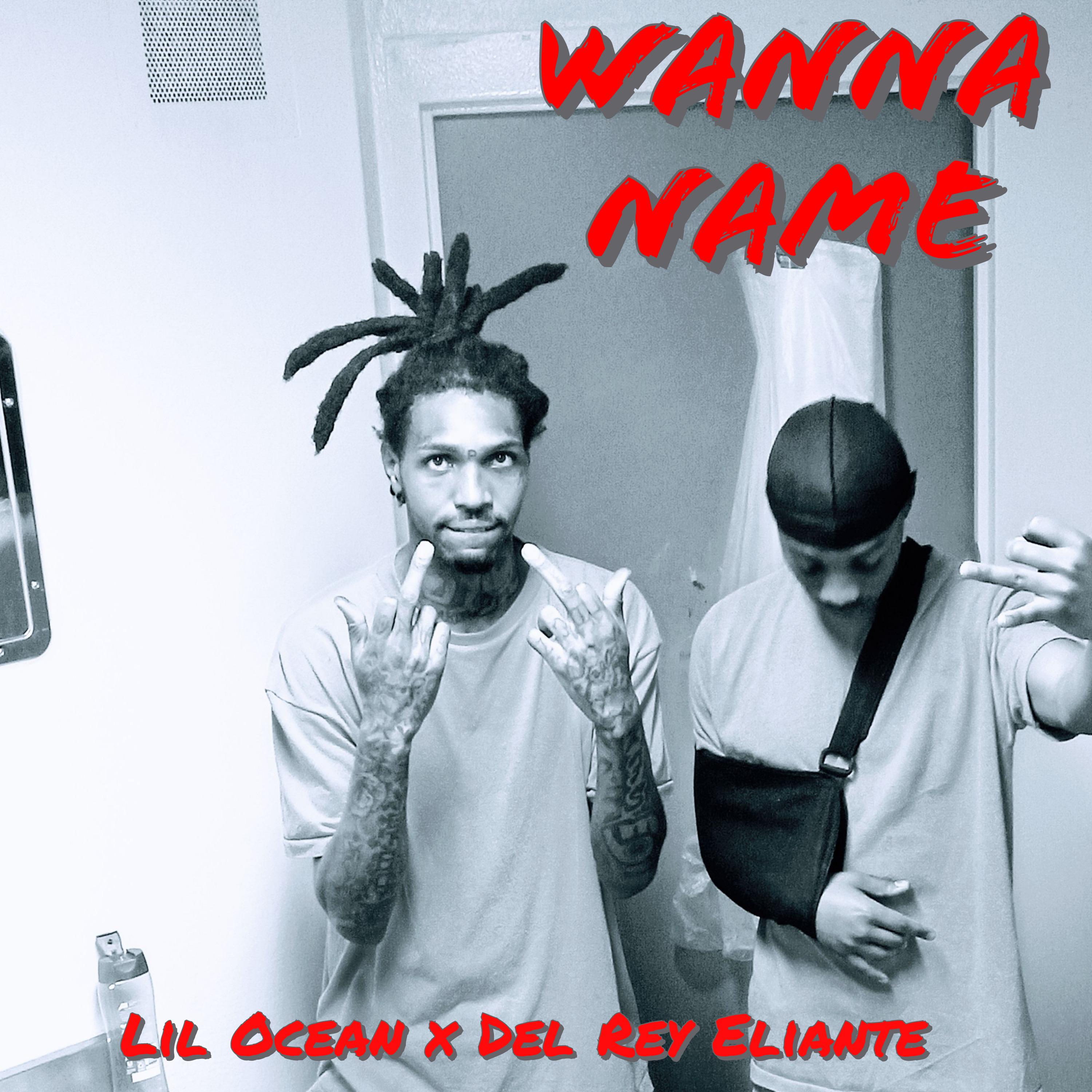 Постер альбома Wanna Name (feat. Del Rey Eliante)