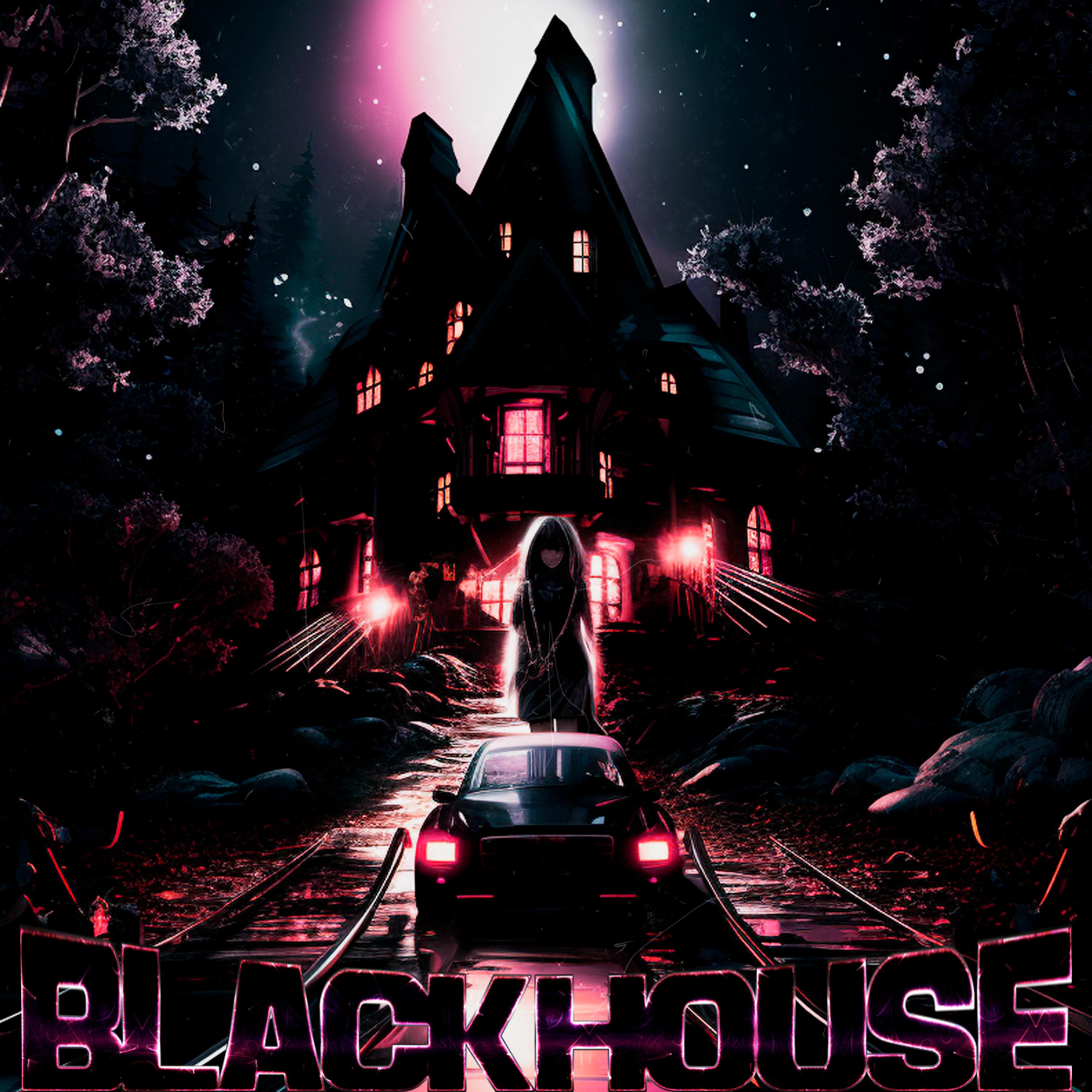 Постер альбома Black House