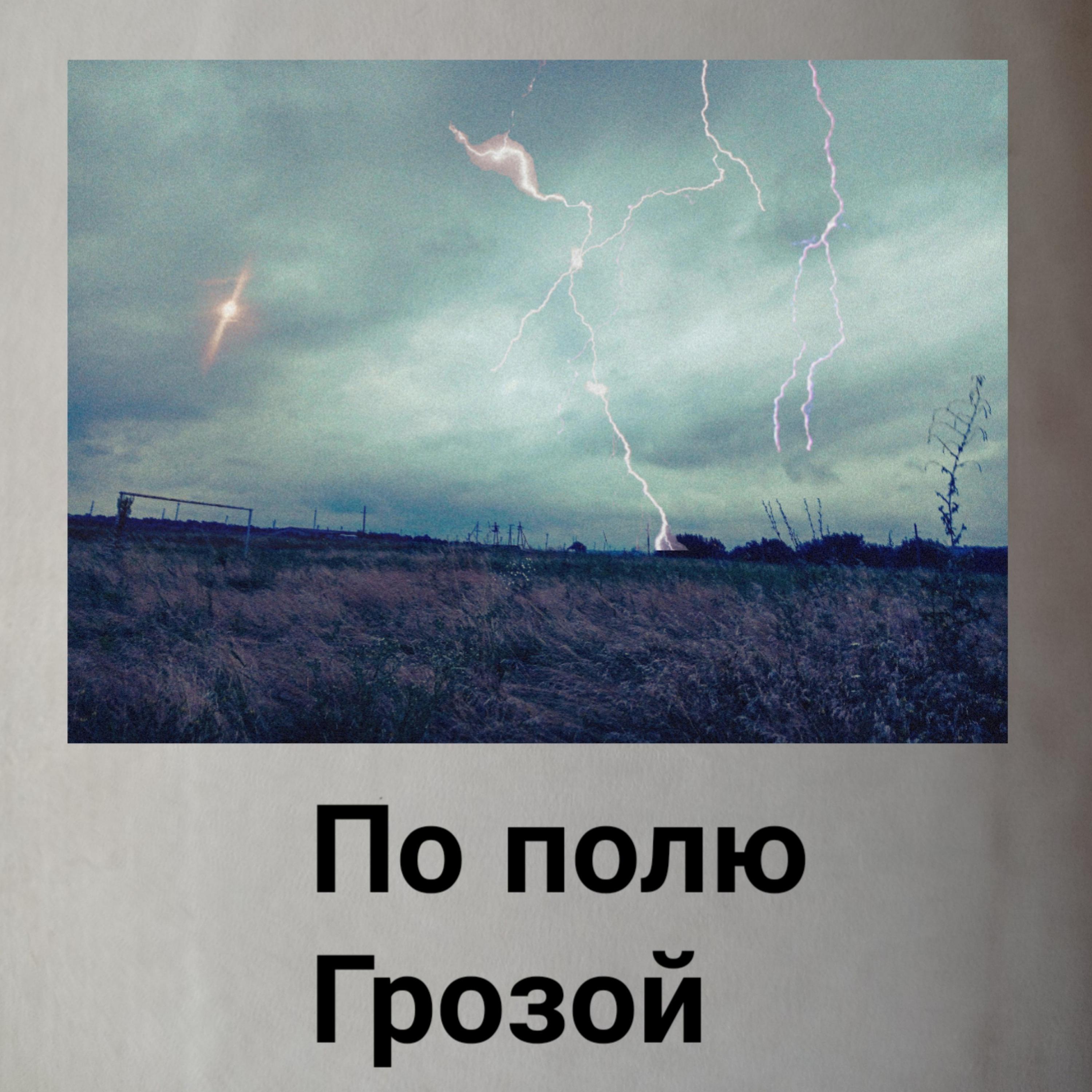 Постер альбома По полю / Грозой