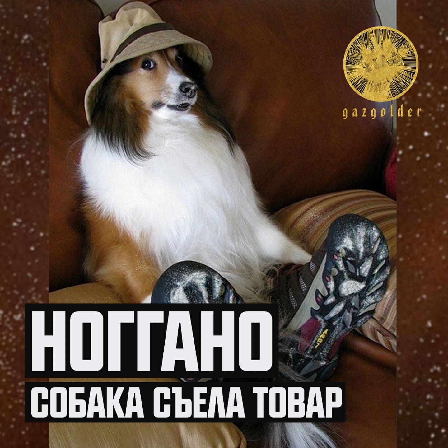 Ноггано - Собака съела товар