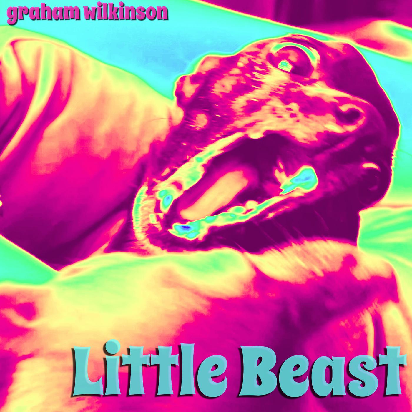 Постер альбома Little Beast