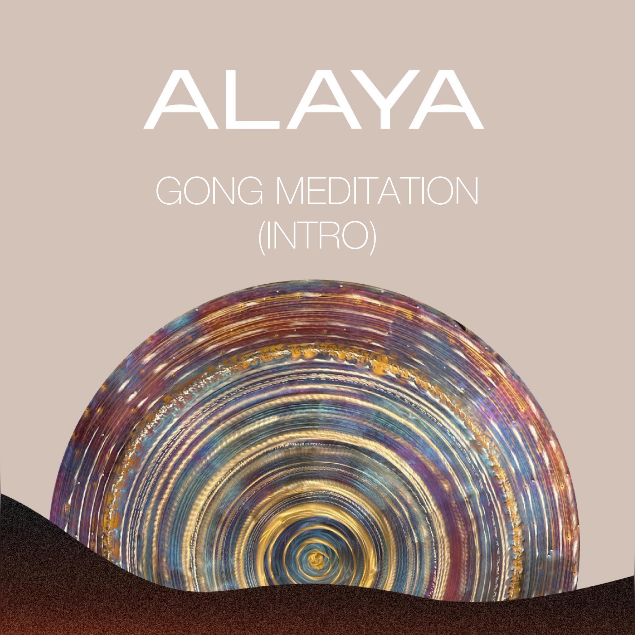 Постер альбома Gong Meditation: Intro
