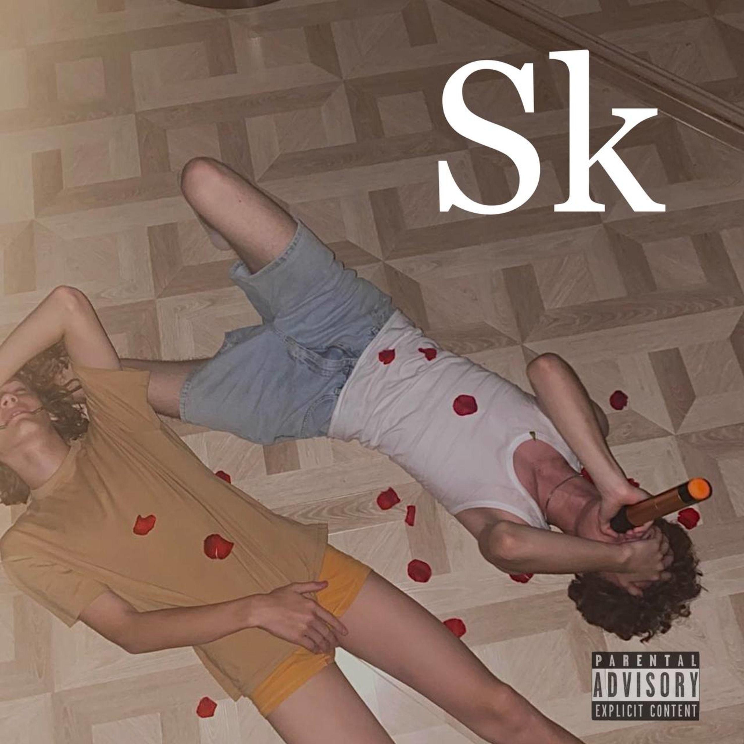 Постер альбома SK