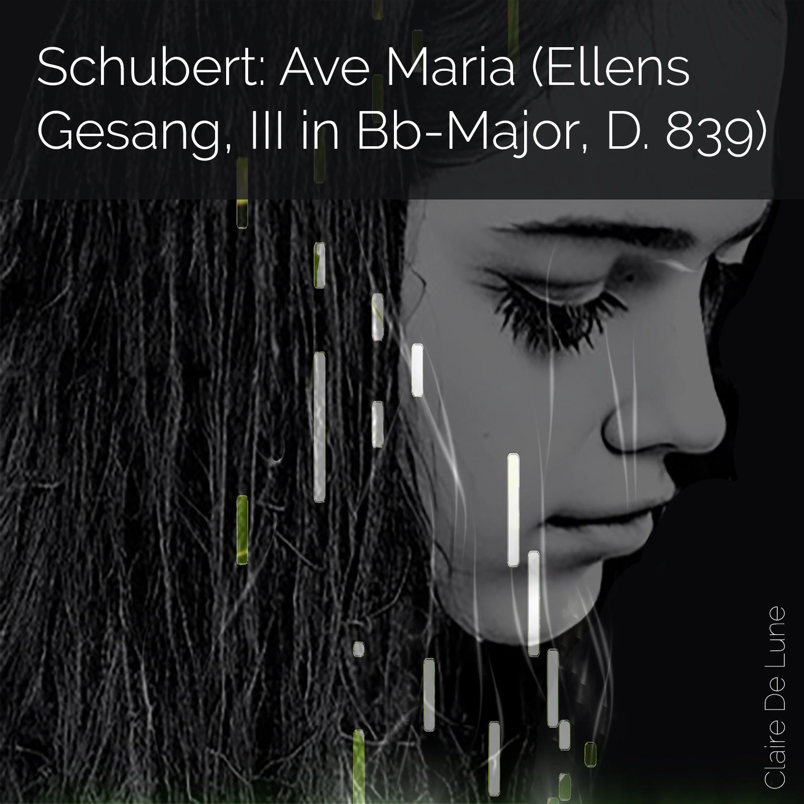 Постер альбома Schubert: Ave Maria (Ellens Gesang, III in Bb-Major, D. 839)