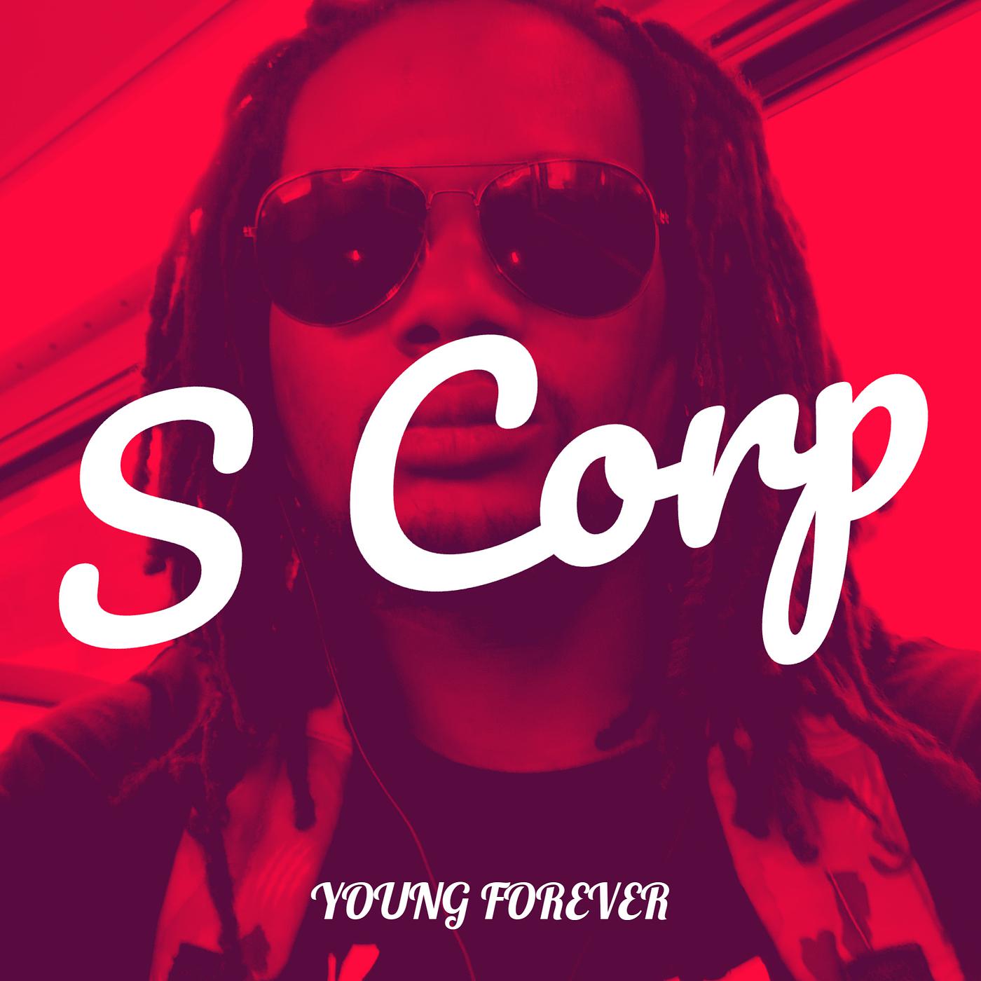 Постер альбома S Corp