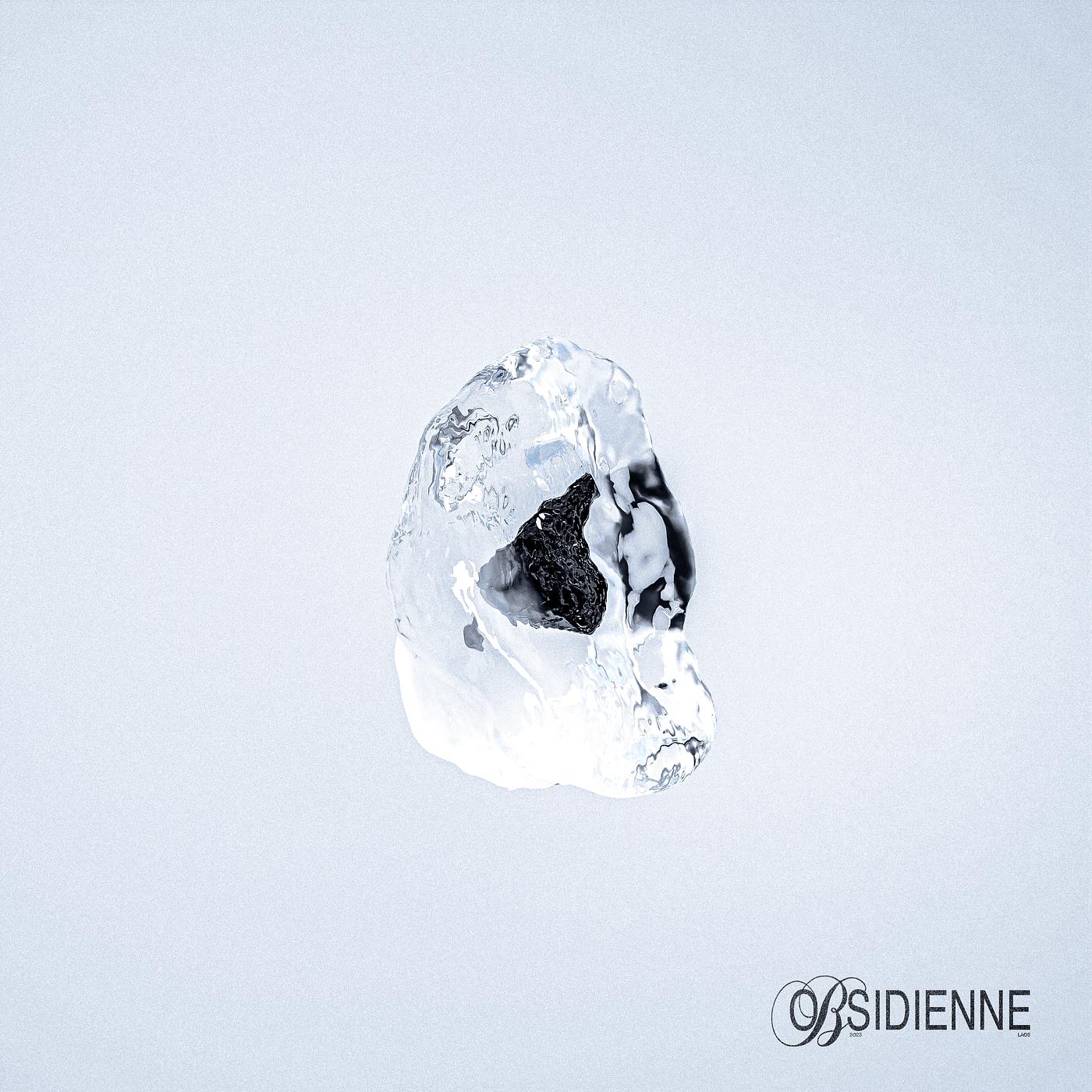 Постер альбома Obsidienne