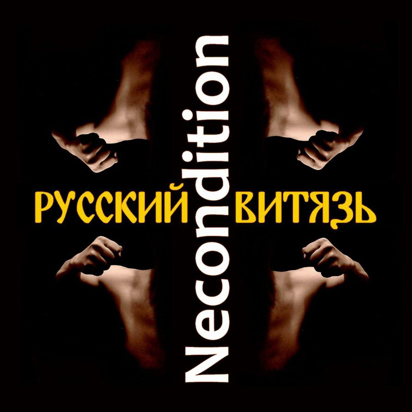 Постер альбома Русский витязь