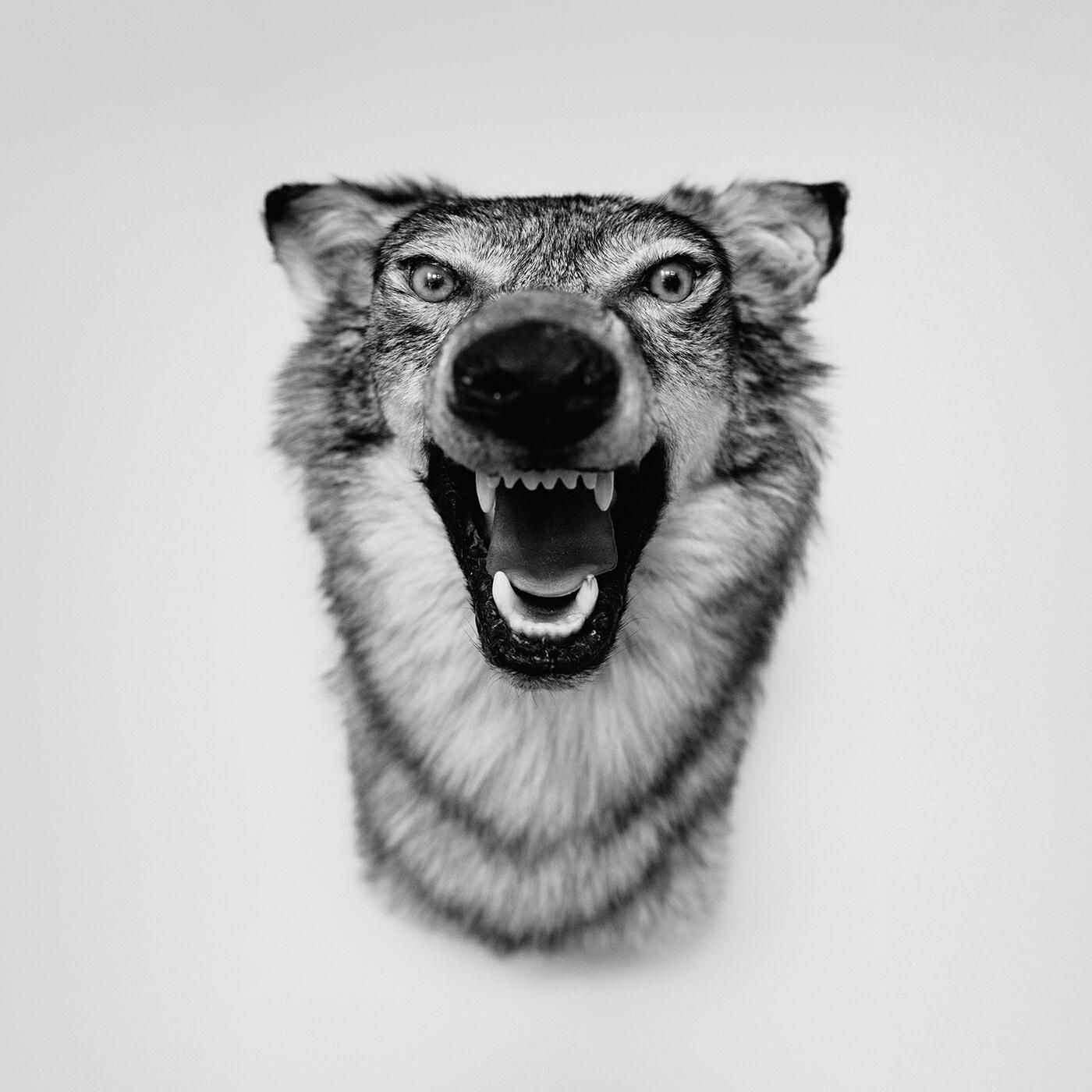 YelaWolf - Whiskey In A Bottle