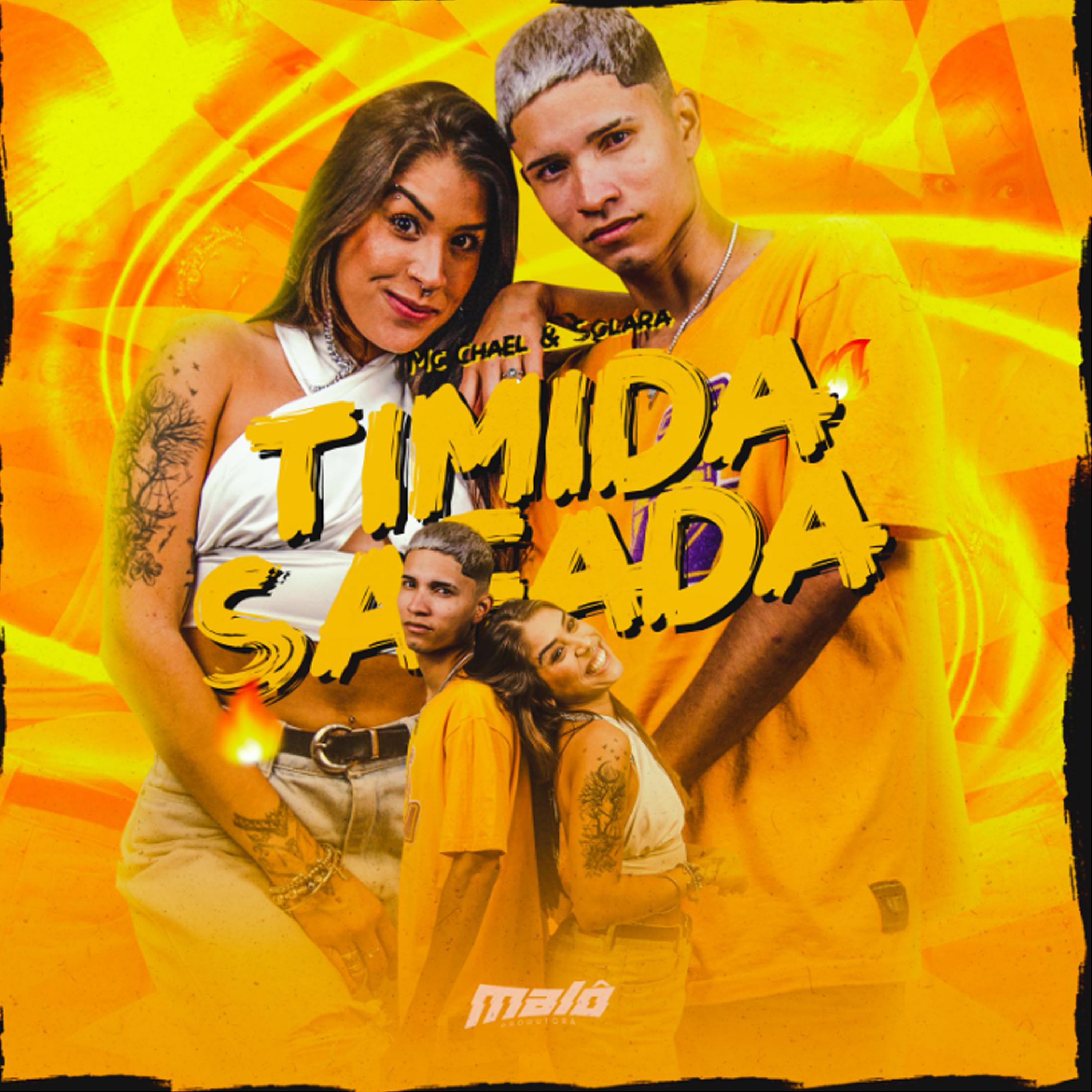 Постер альбома Timida Safada