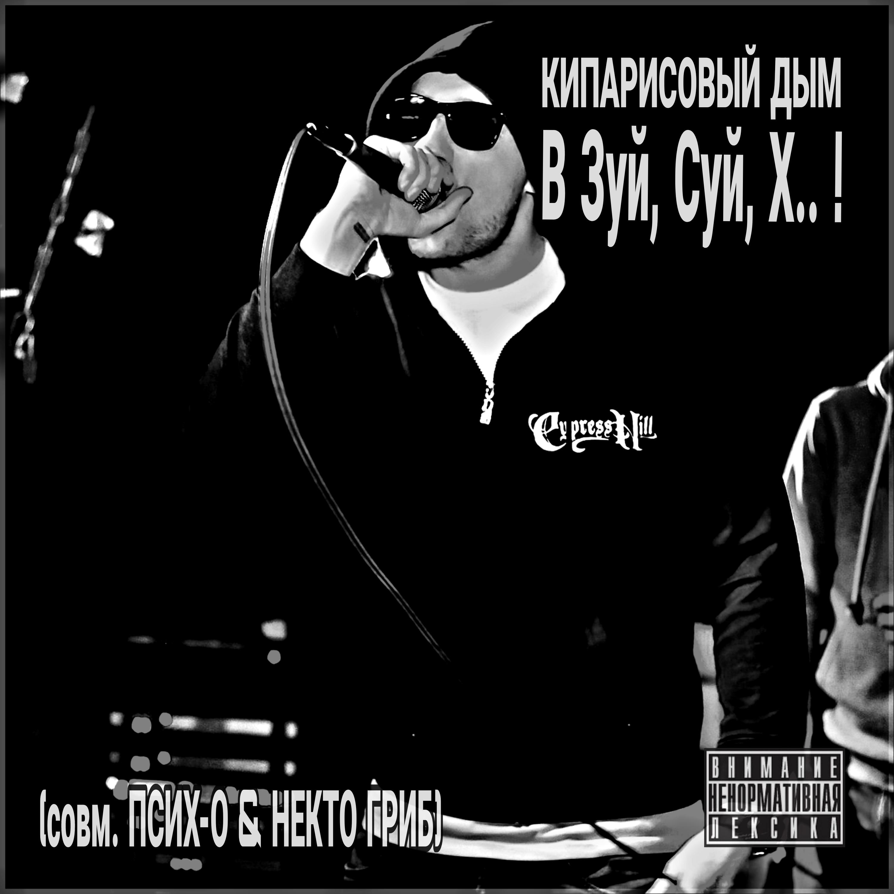 Постер альбома В Зуй, суй, х.. ! (feat. Псих-О, Некто Гриб)
