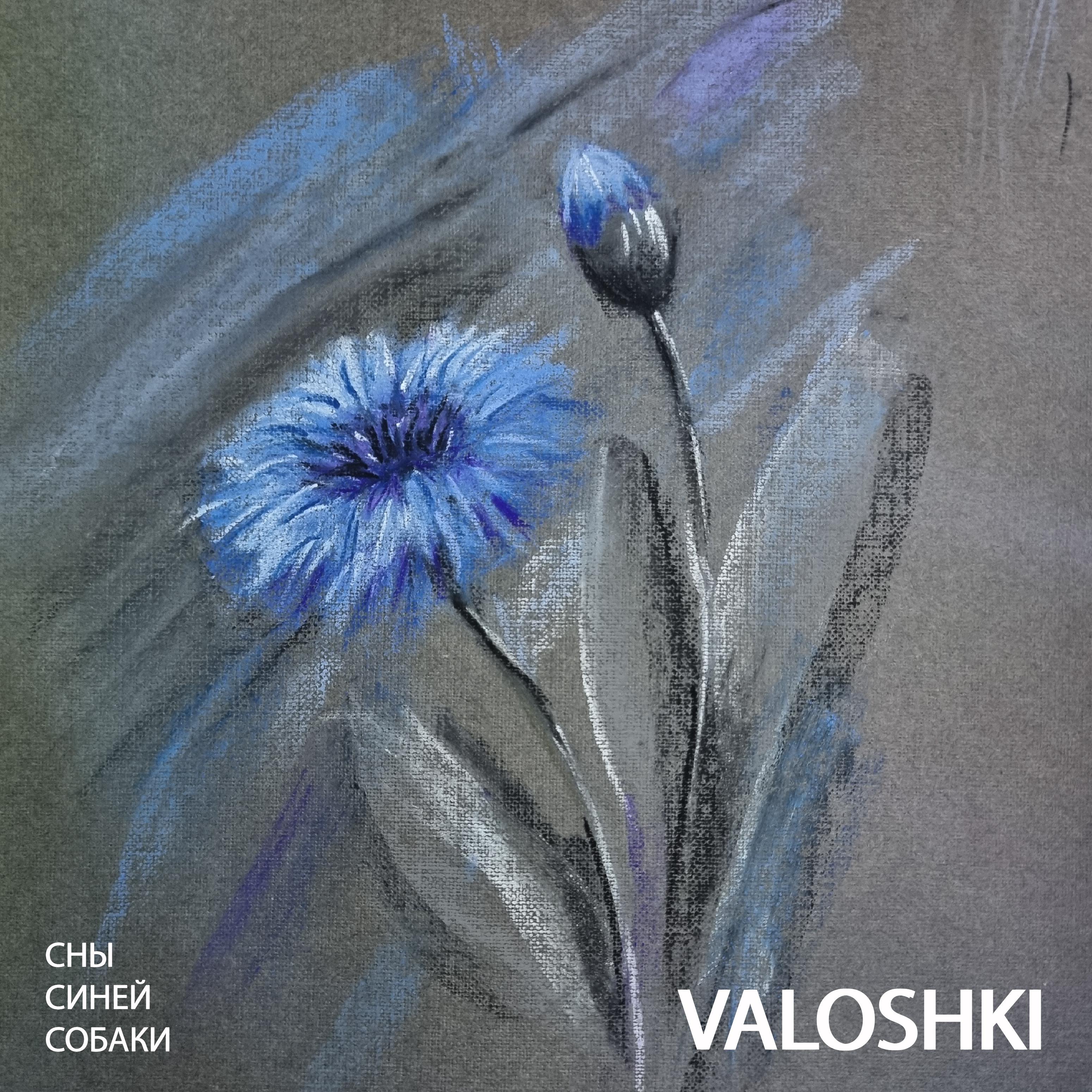 Постер альбома Valoshki