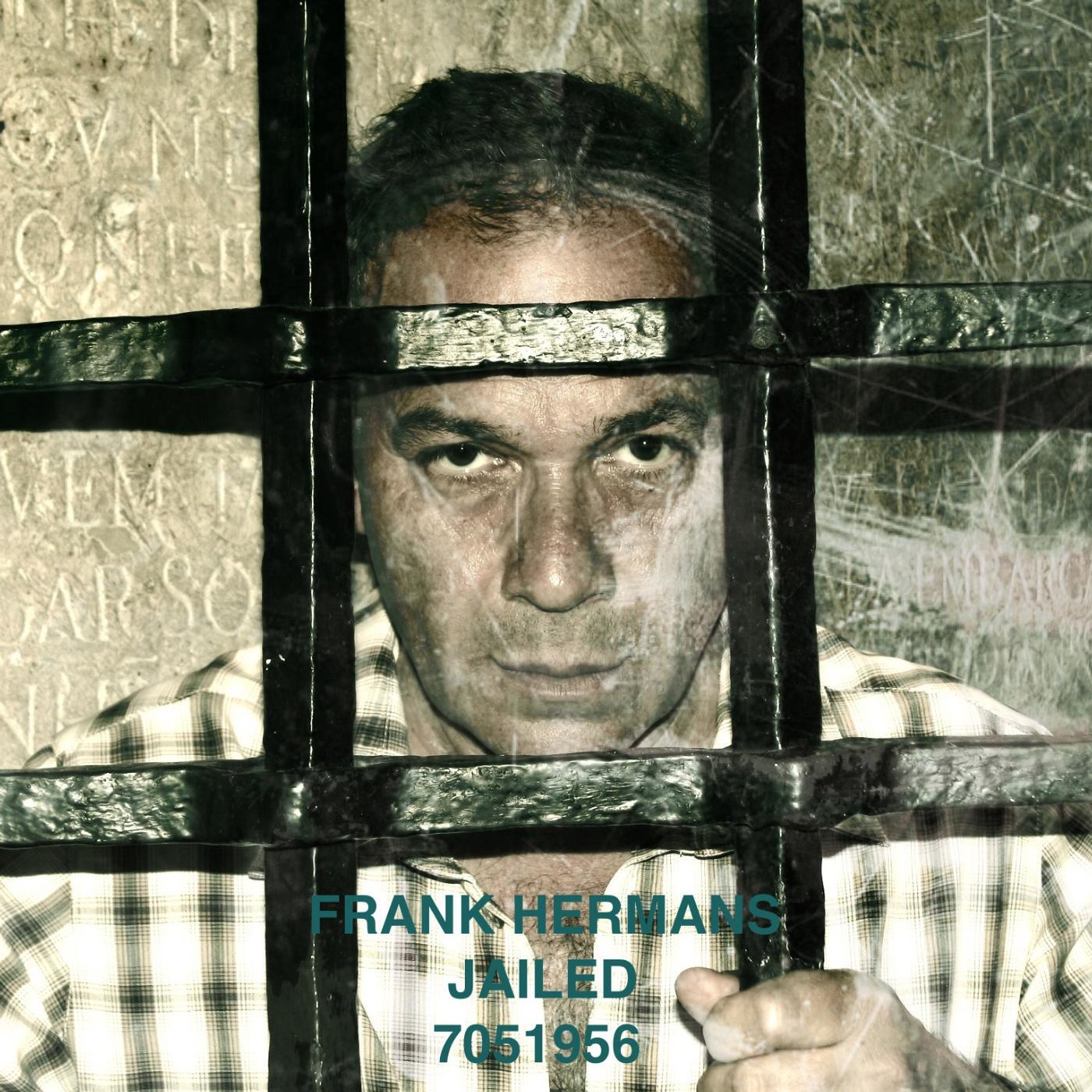 Frank Hermans - Dust the Light