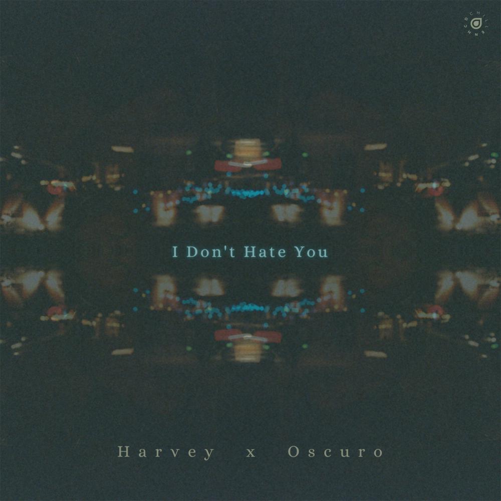 Постер альбома I Don't Hate You