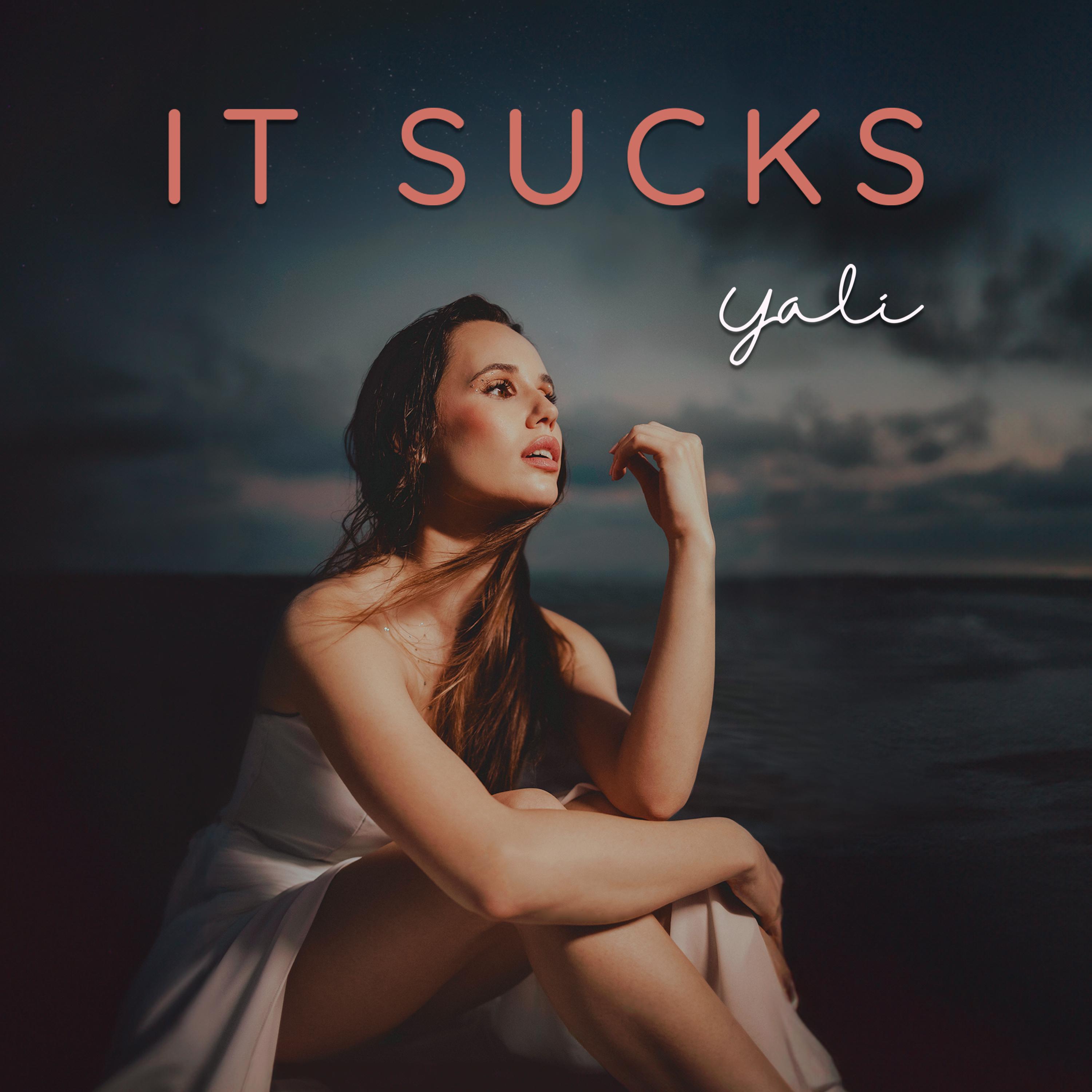 Постер альбома It Sucks