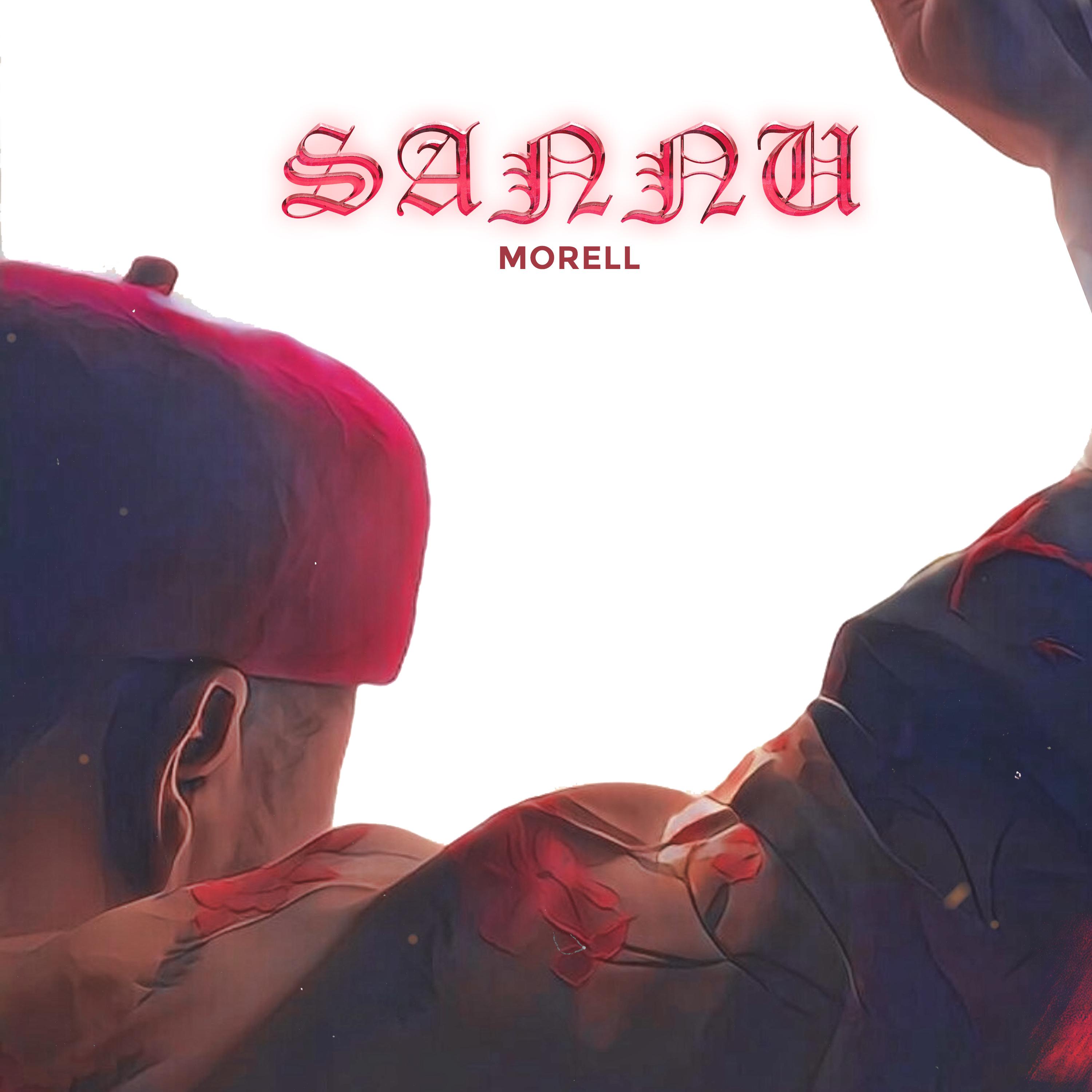 Постер альбома Sannu