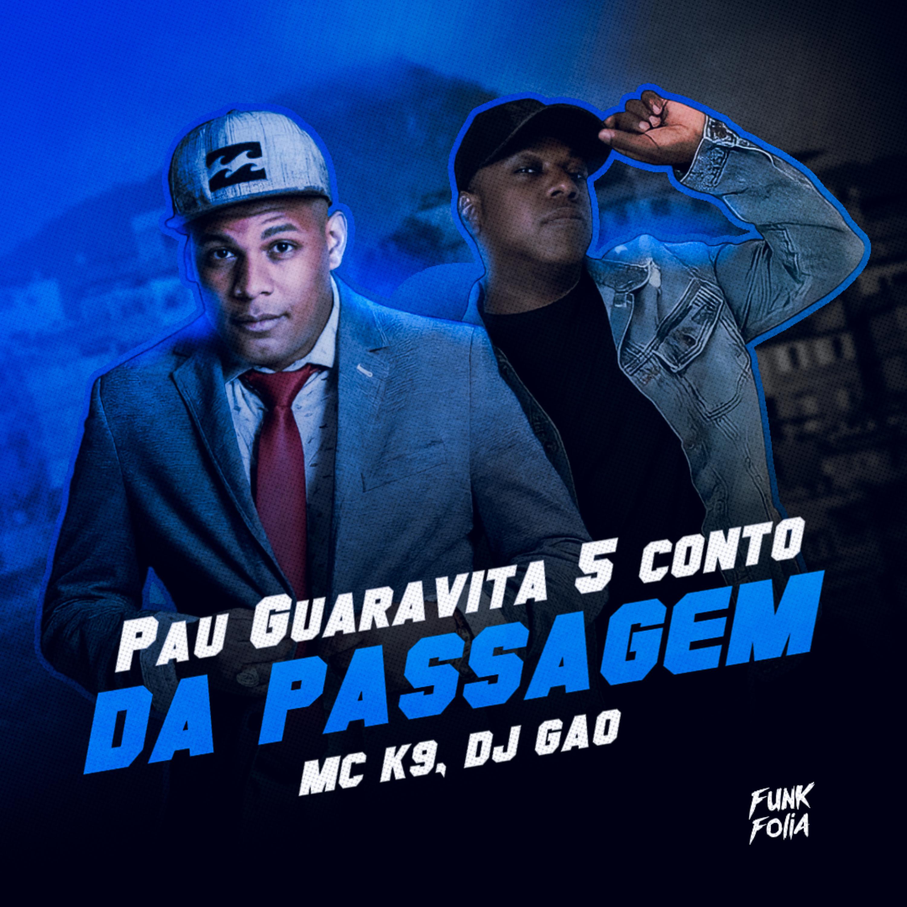 Постер альбома Pau Guaravita 5 Conto da Passagem