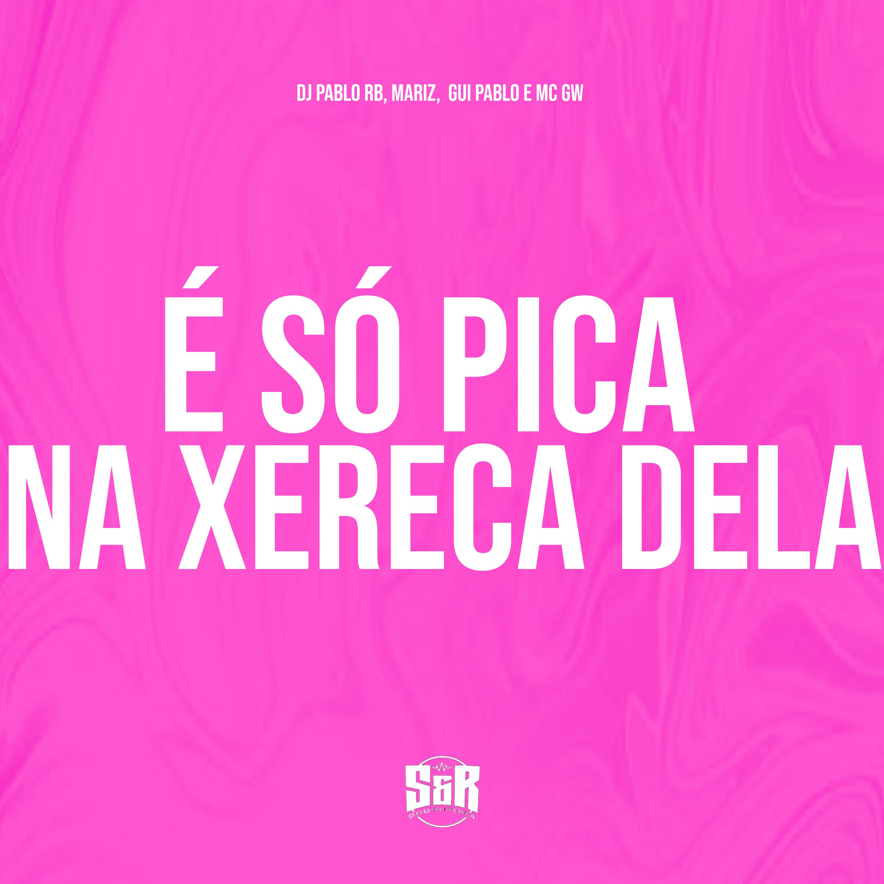 Постер альбома É Só Pica na Xereca Dela