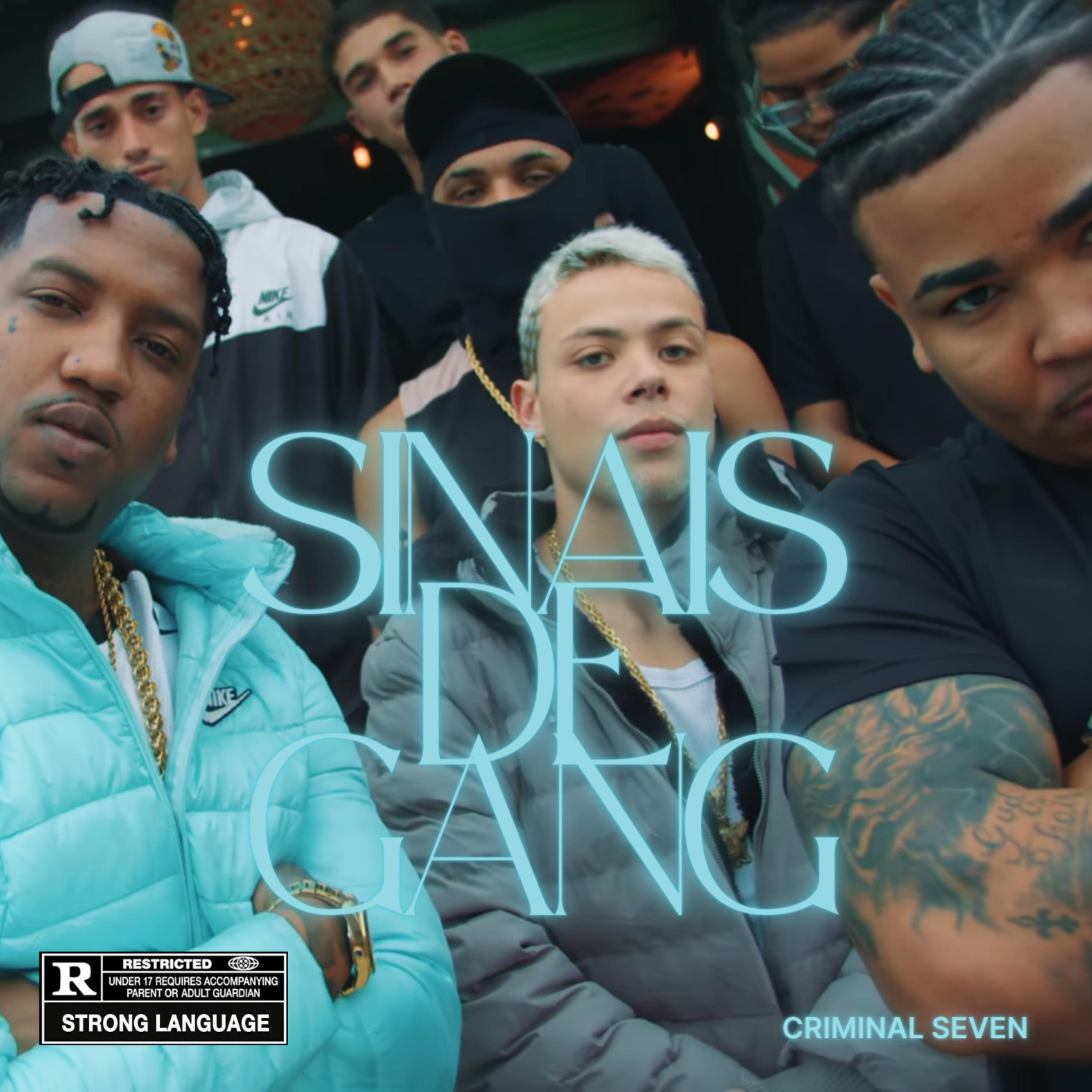 Постер альбома Sinais de Gang