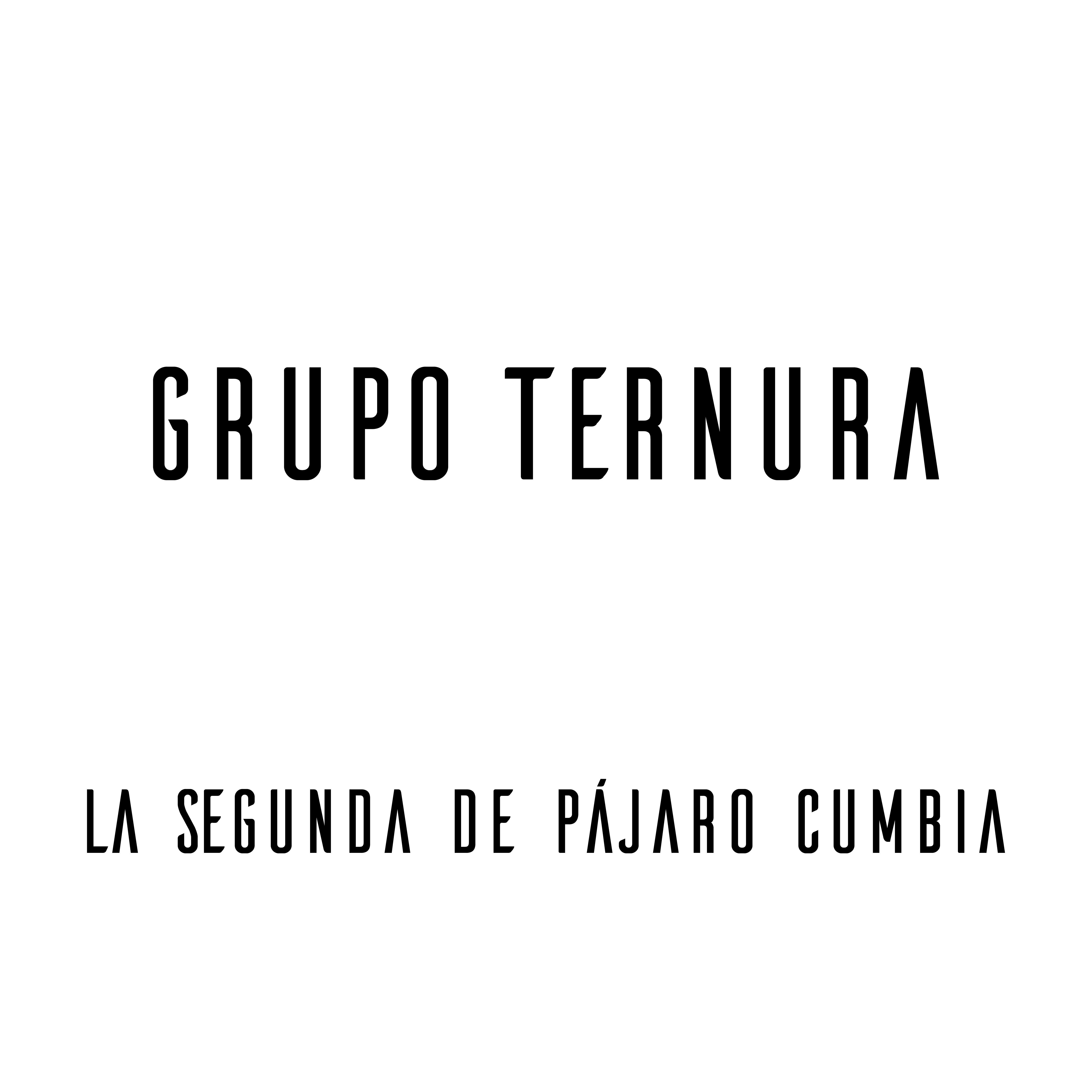 Постер альбома La Segunda de Pájaro Cumbia