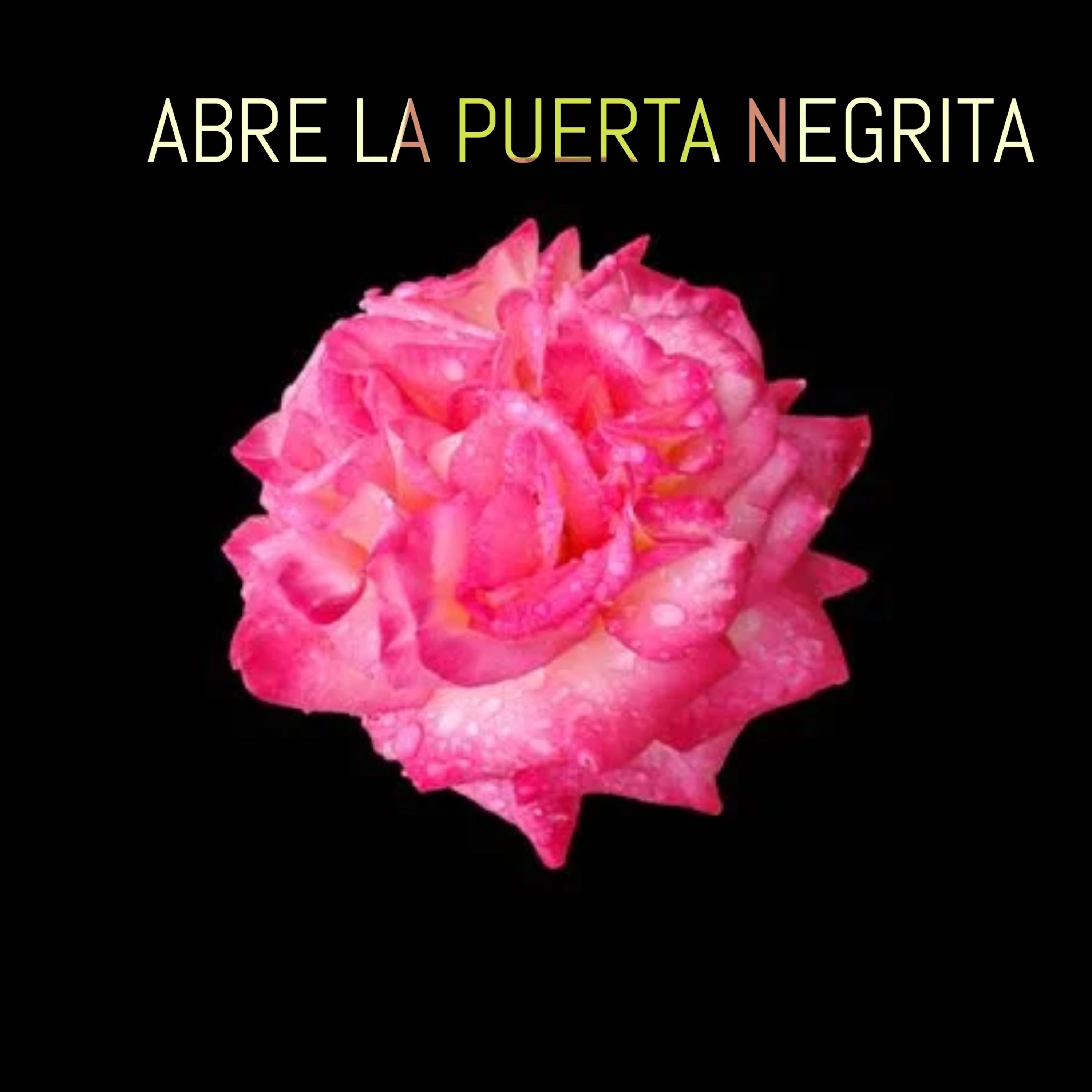 Постер альбома Abre La Puerta Negrita