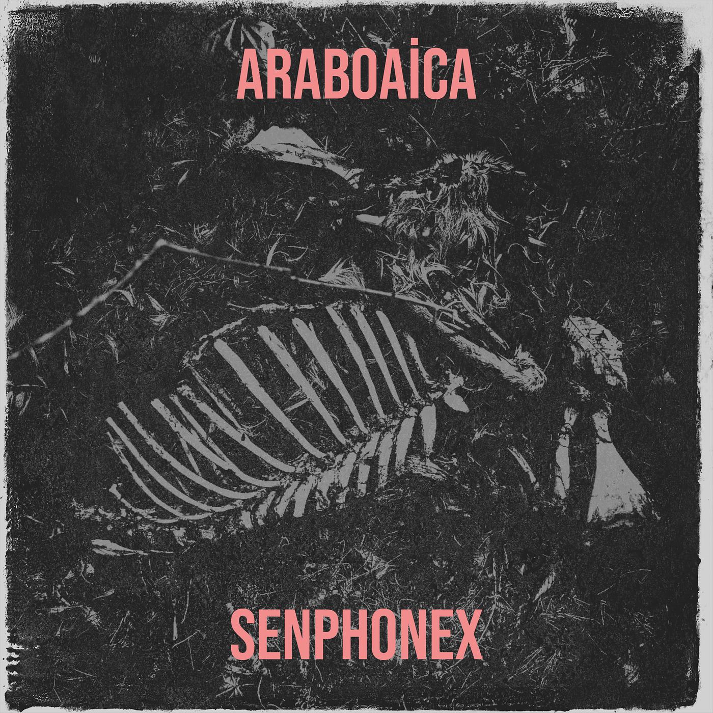 Постер альбома Araboaica