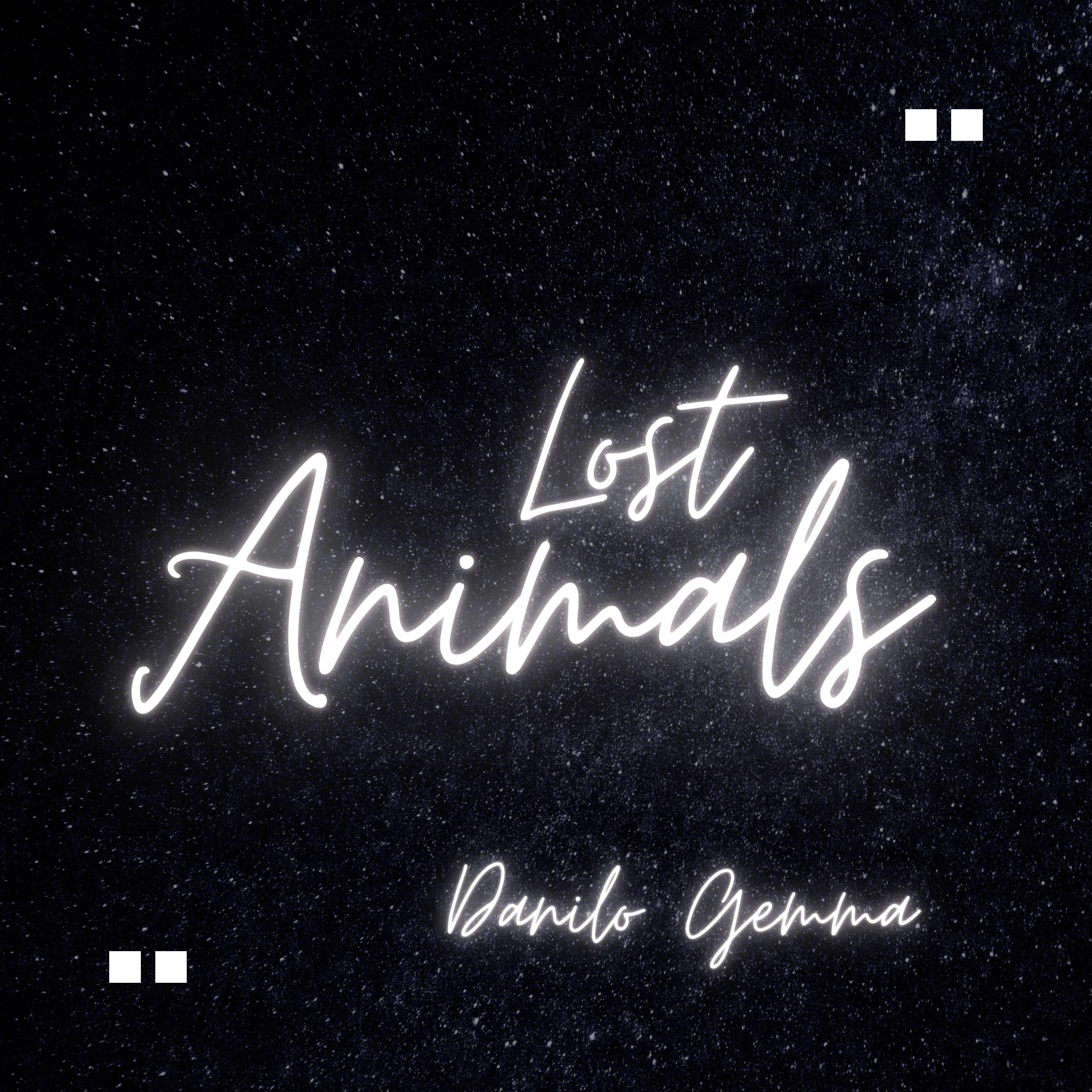 Постер альбома Lost animals