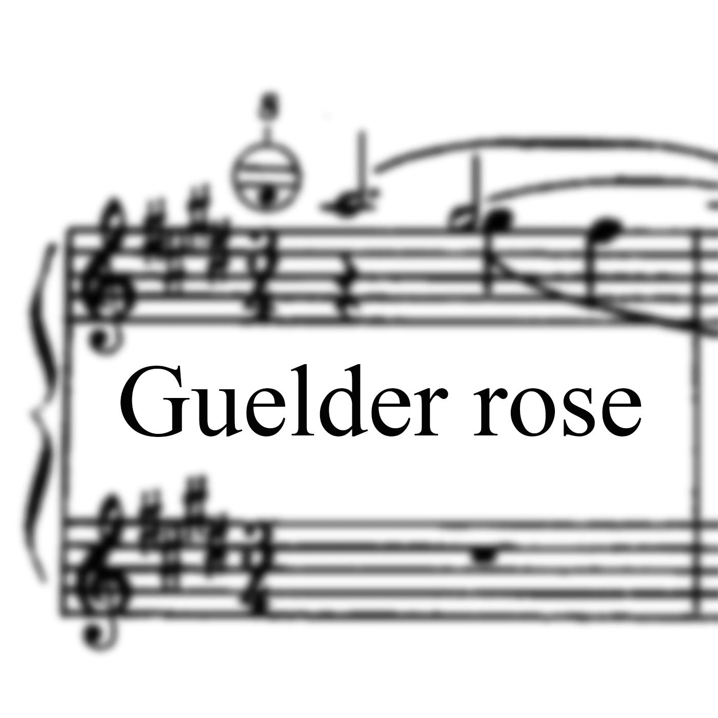 Постер альбома Guelder Rose