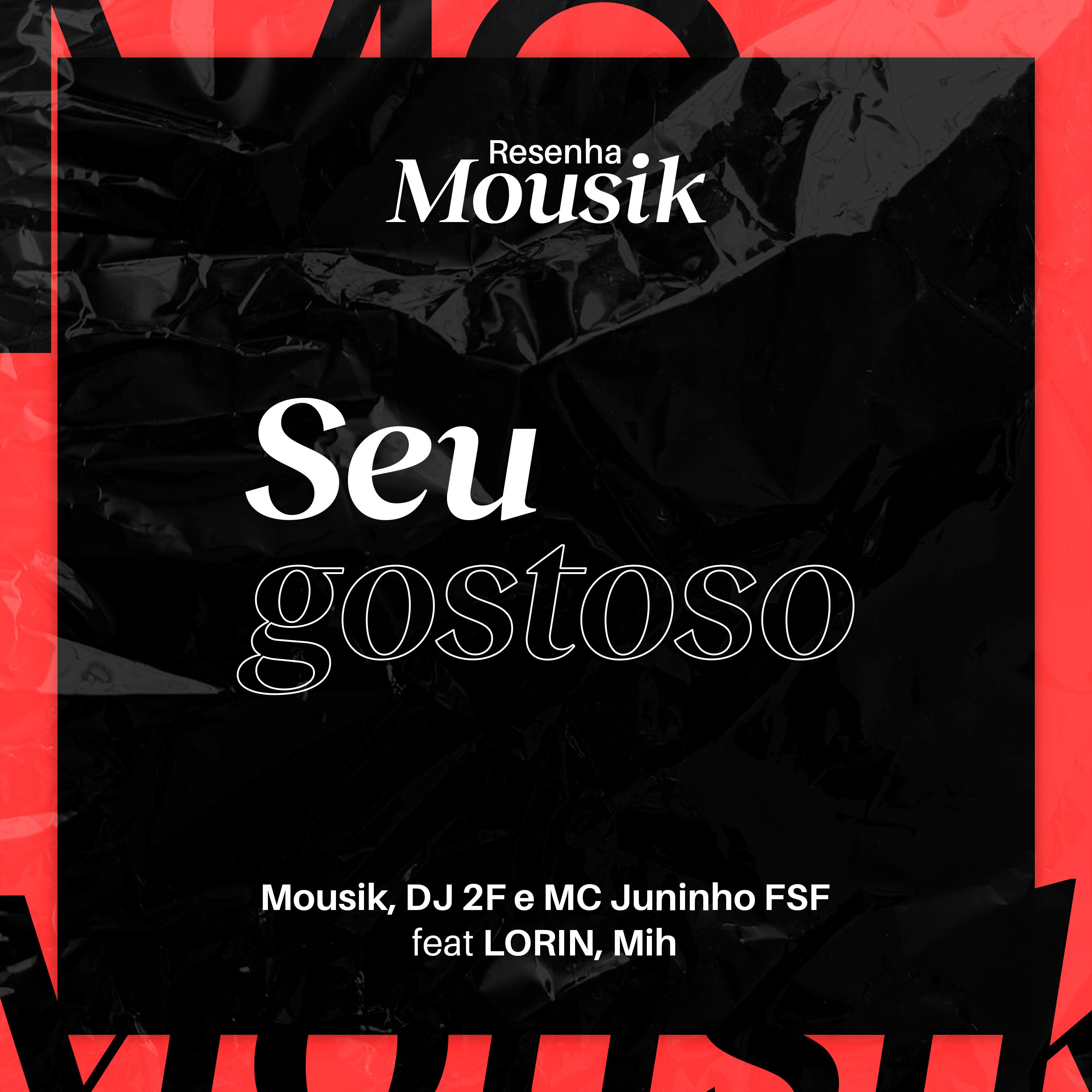 Постер альбома Resenha Mousik: Seu Gostoso