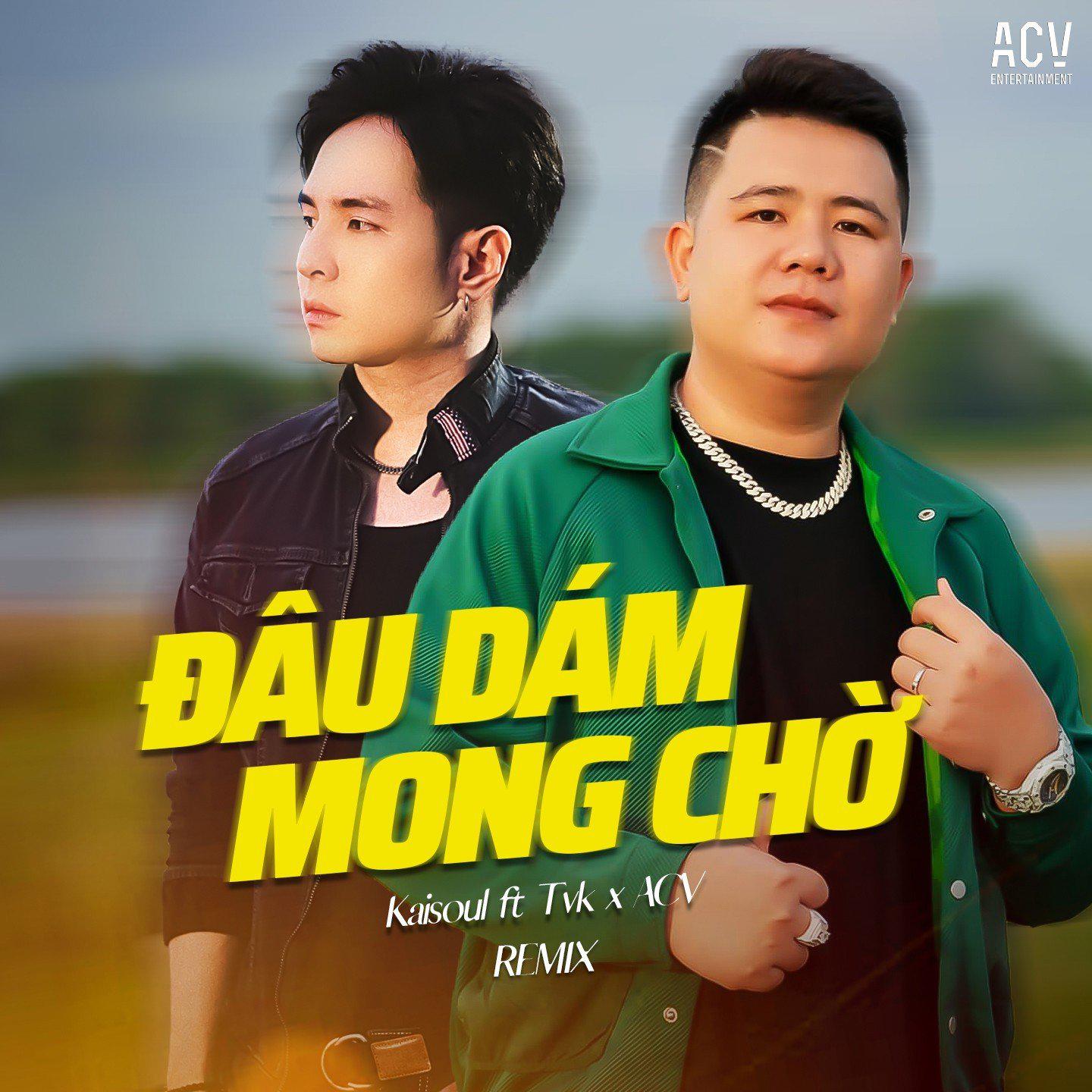 Постер альбома Đâu Dám Mong Chờ