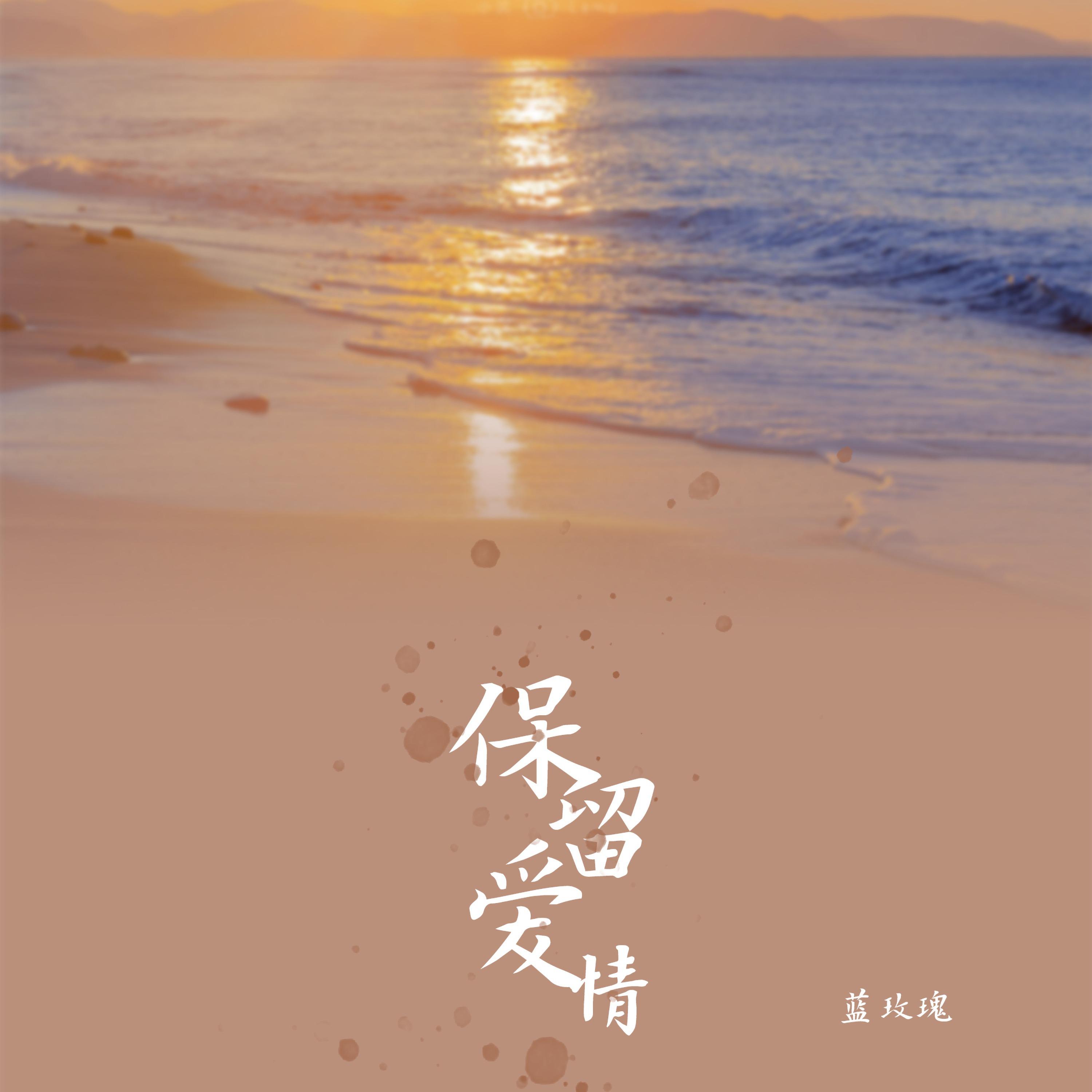 Постер альбома 保留爱情