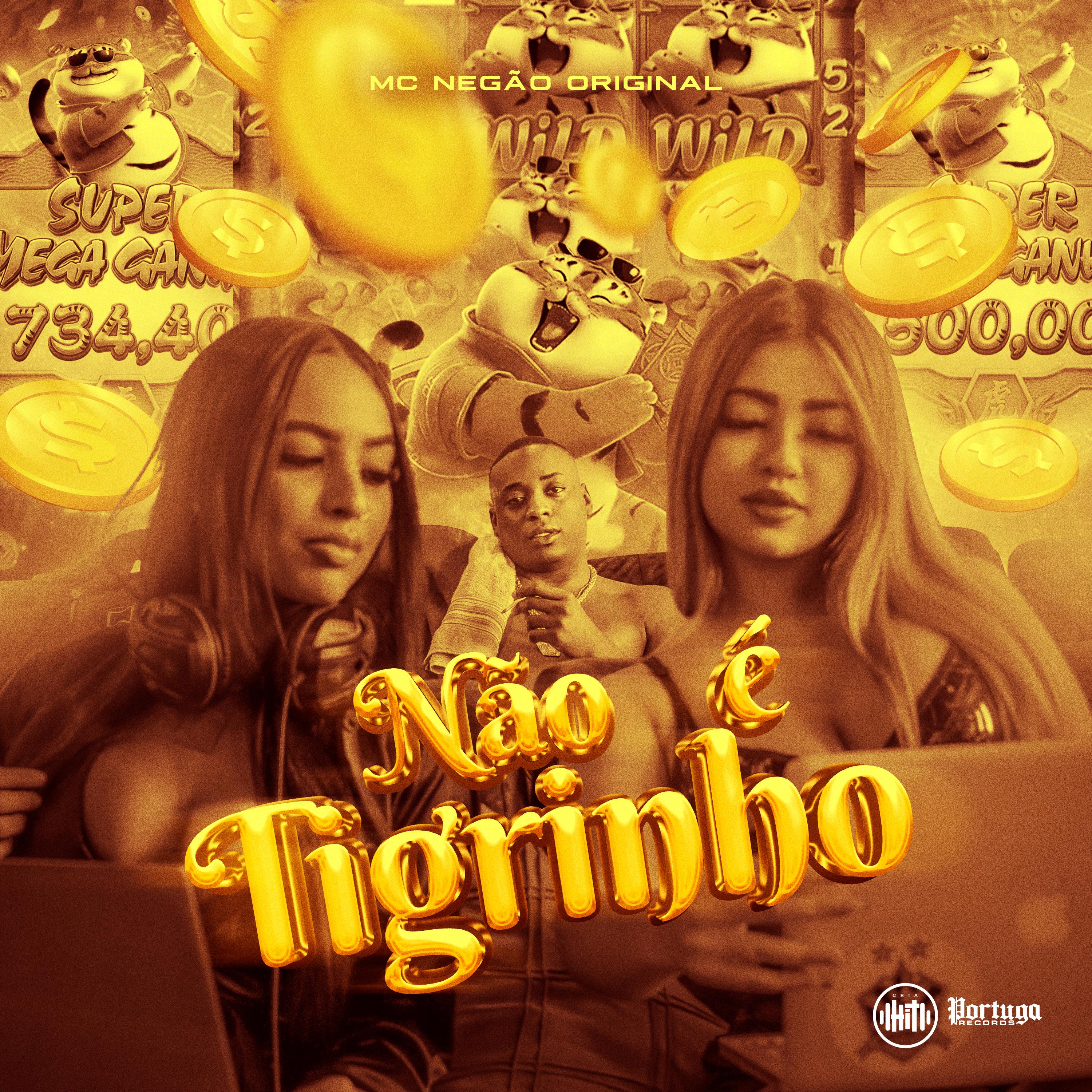 Постер альбома Não É Tigrinho