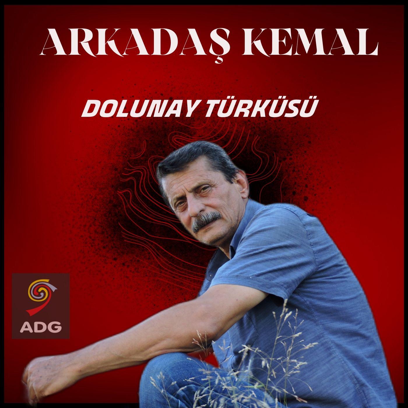 Постер альбома Dolunay Türküsü