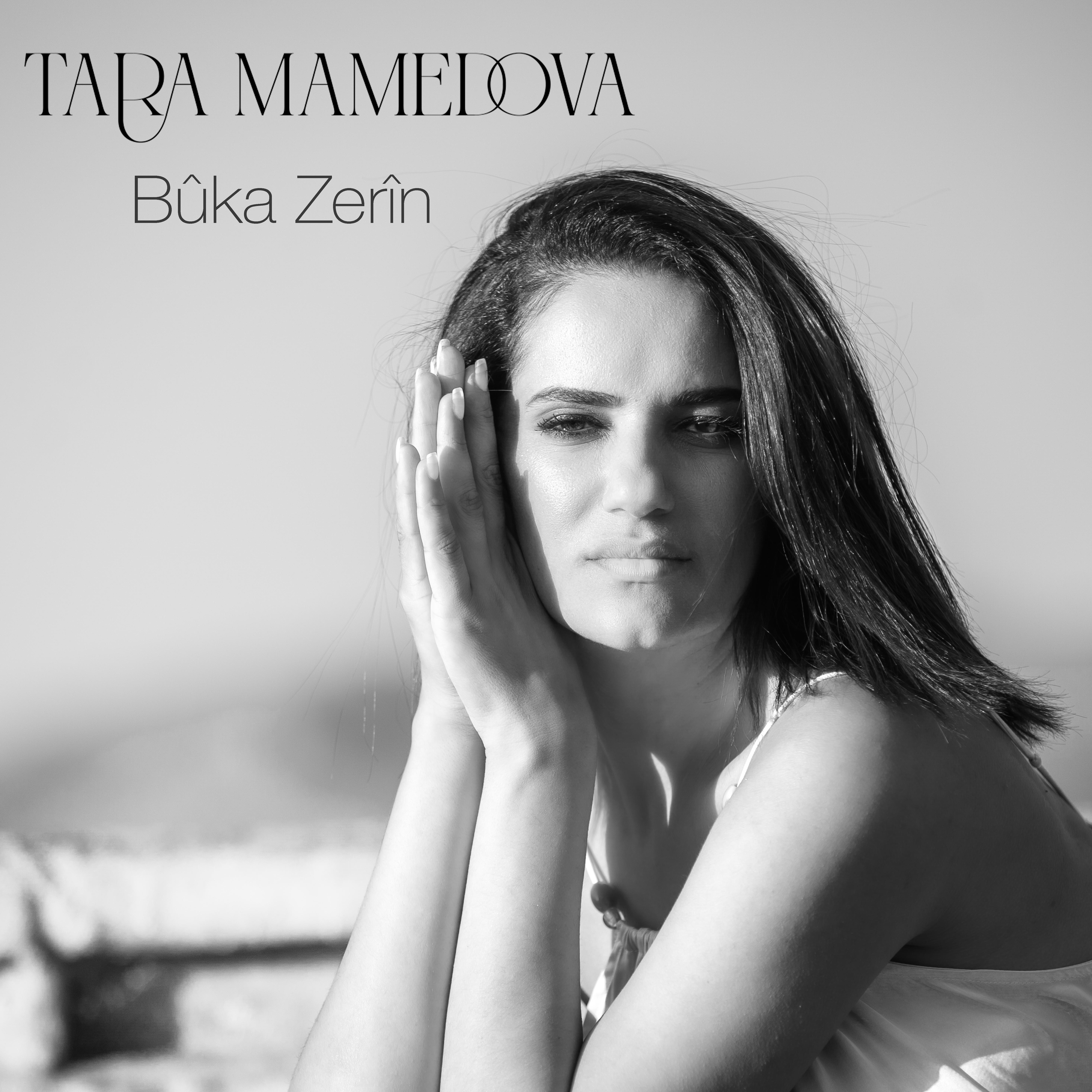 Постер альбома Bûka Zerîn