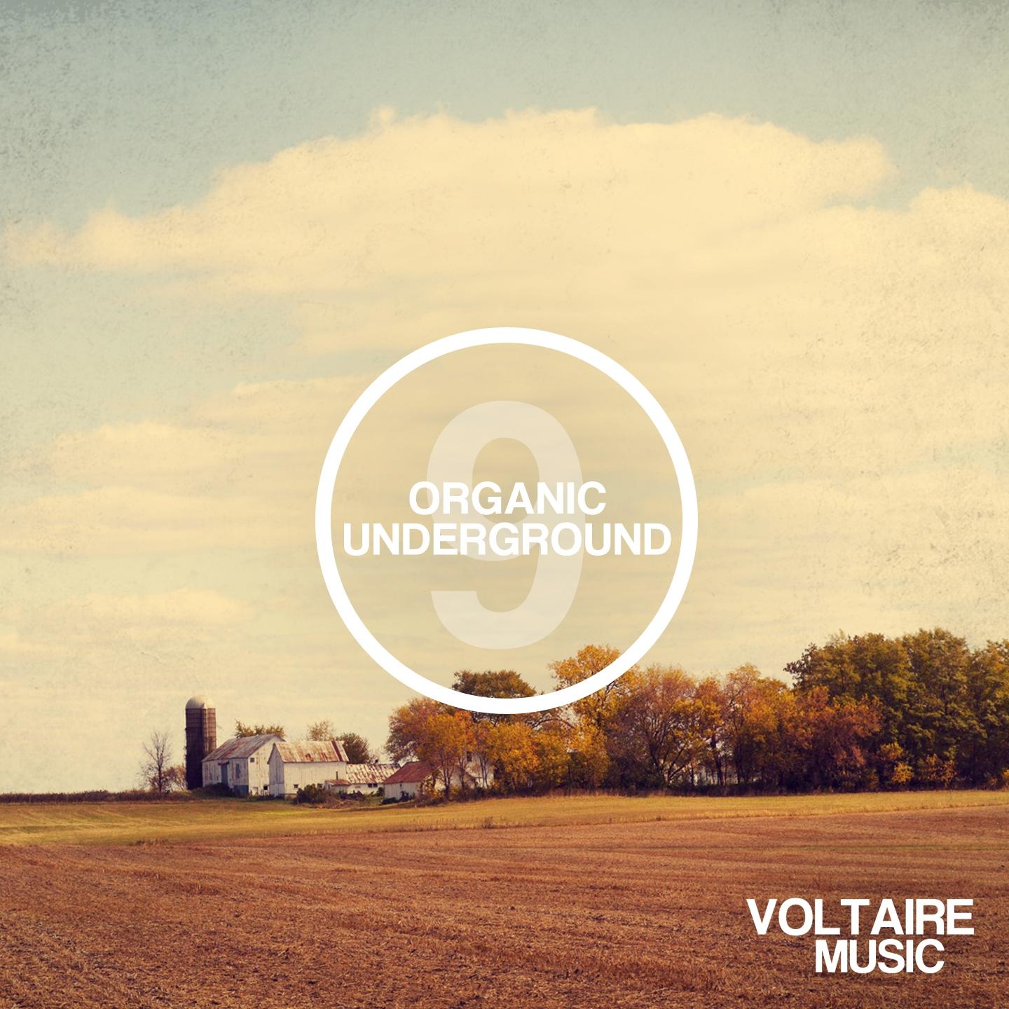 Постер альбома Organic Underground Issue 9