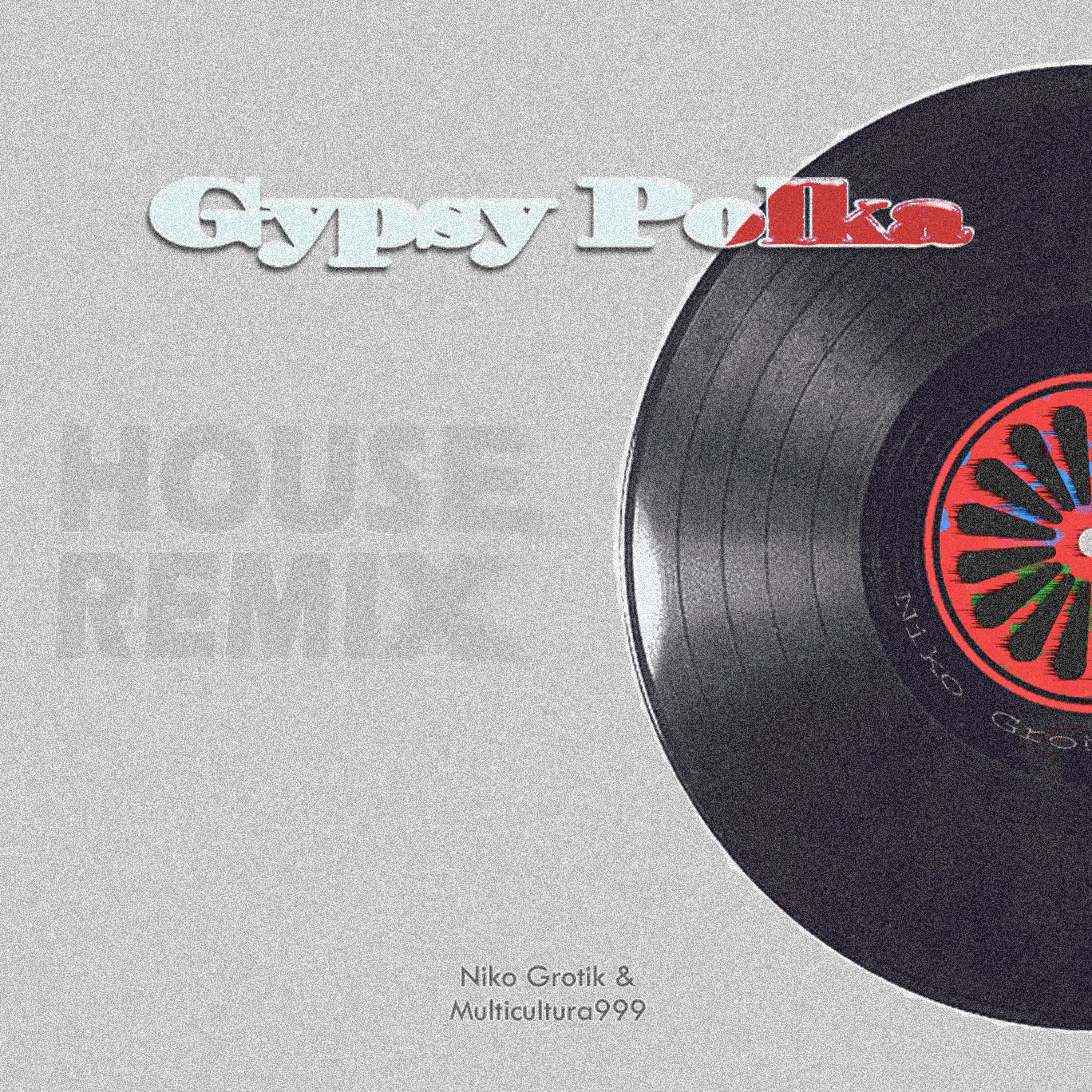 Постер альбома Gypsy Polka (House Remix)