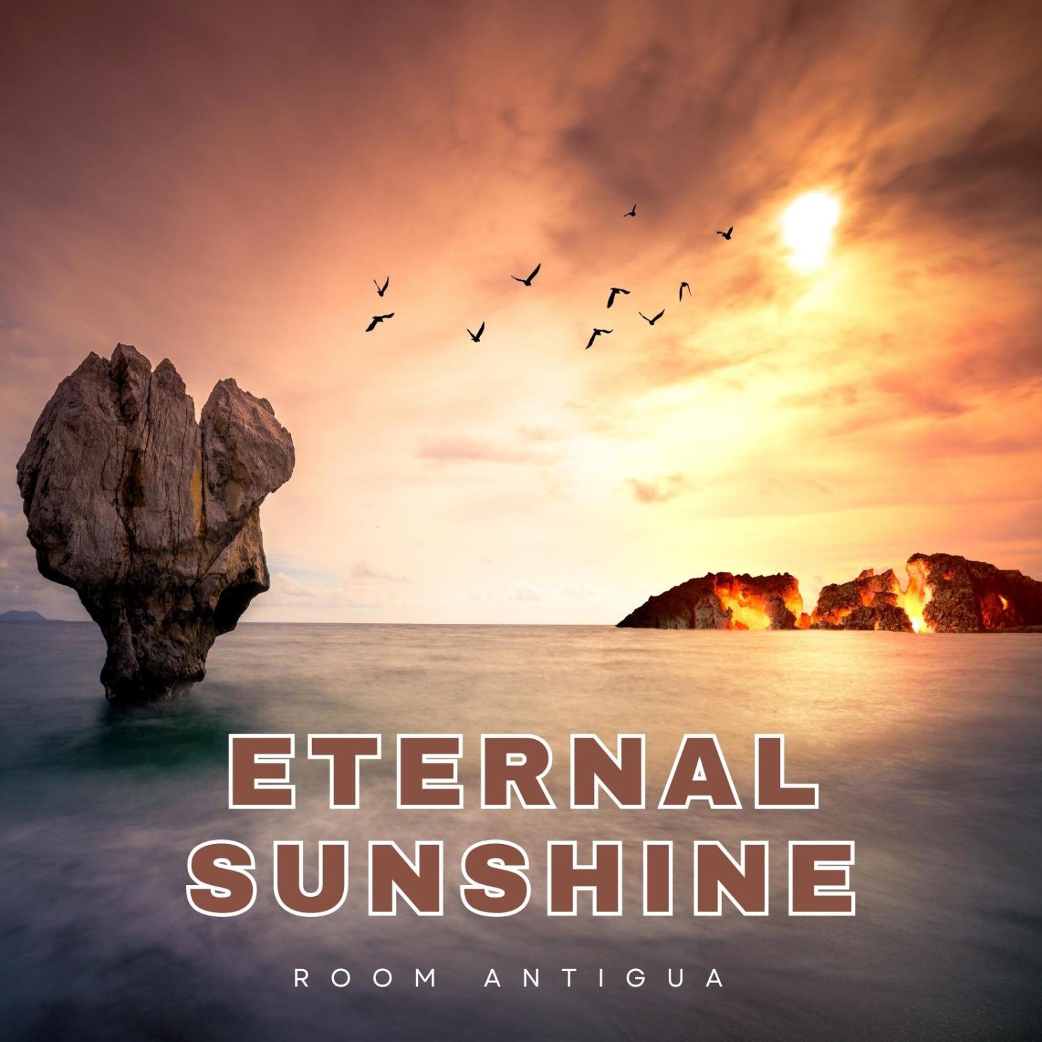 Постер альбома Eternal Sunshine