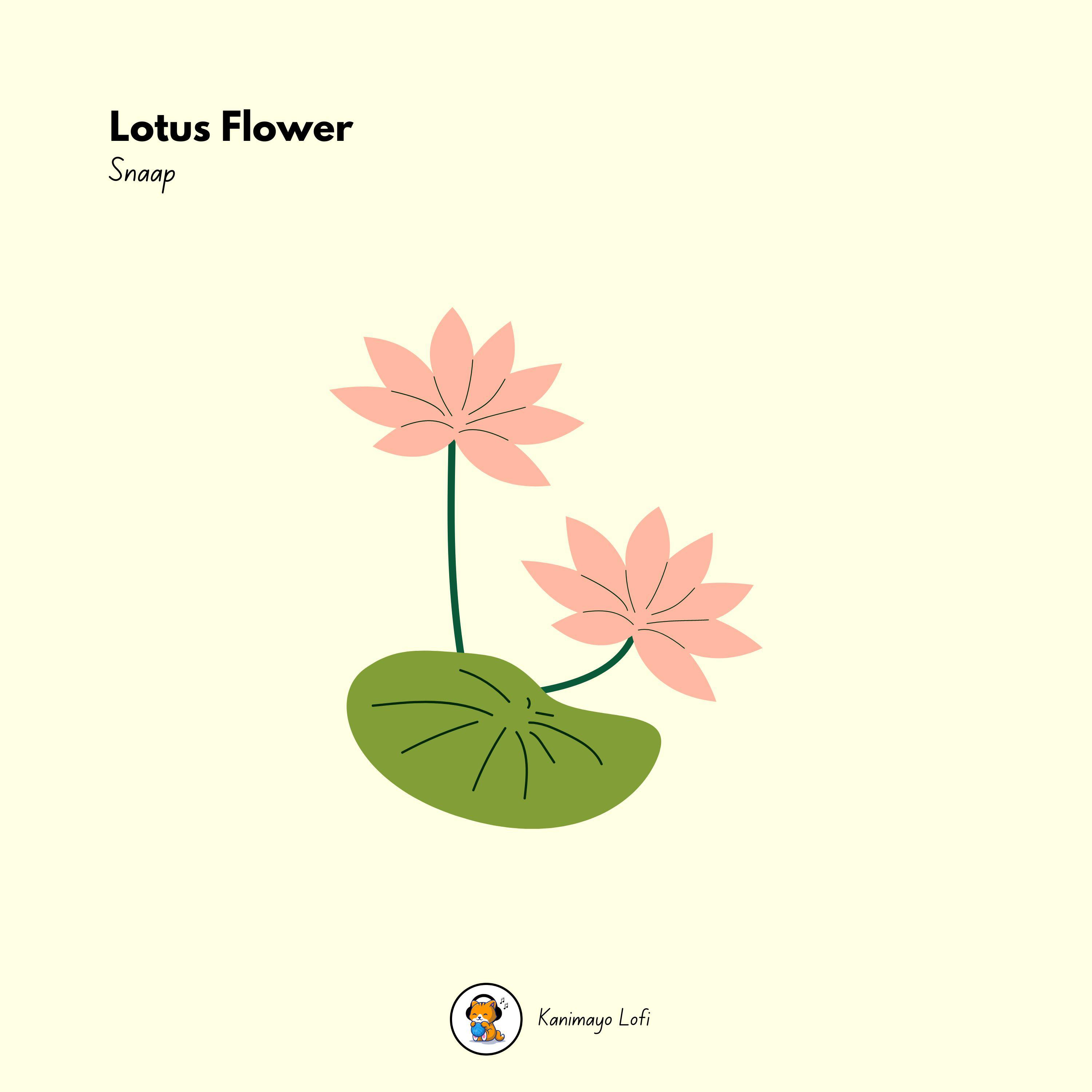 Постер альбома Lotus Flower